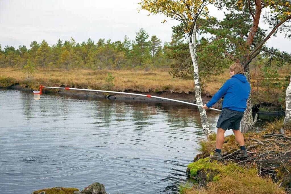 Kamari paisjärve karpi asustamas.