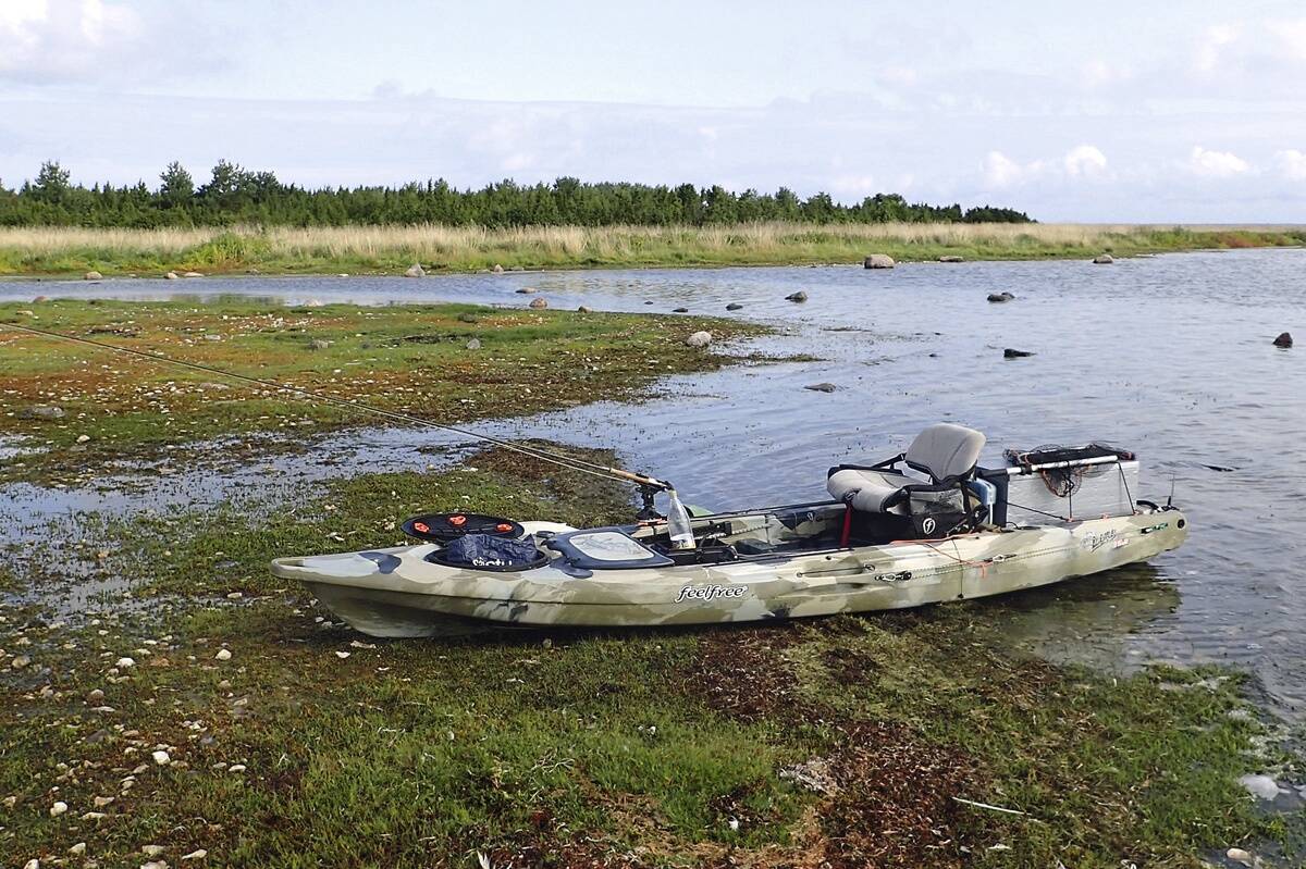 Laiule selga sirutama!