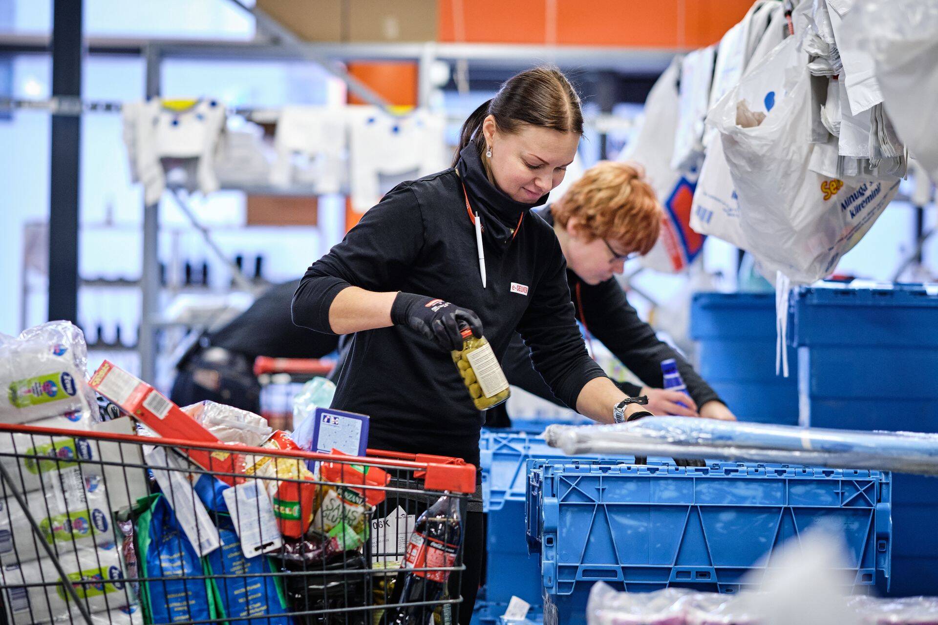 e-Selveri komplekteerijad