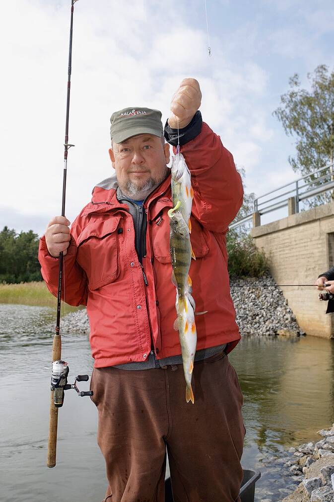 ... aga vahel ka mitmekaupa