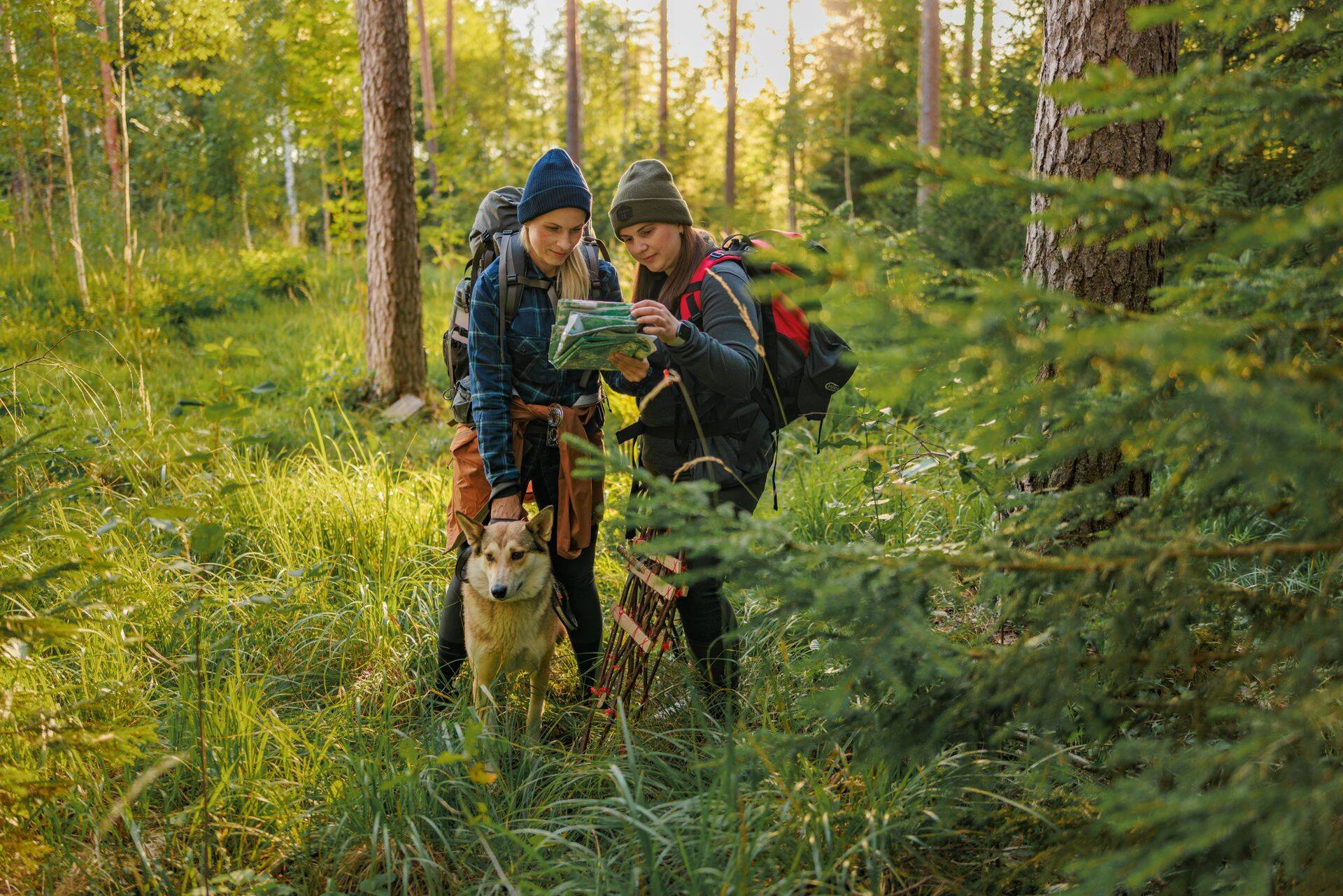 Metsarahvapäev kingib Eesti inimestele üle 40 elamuse.