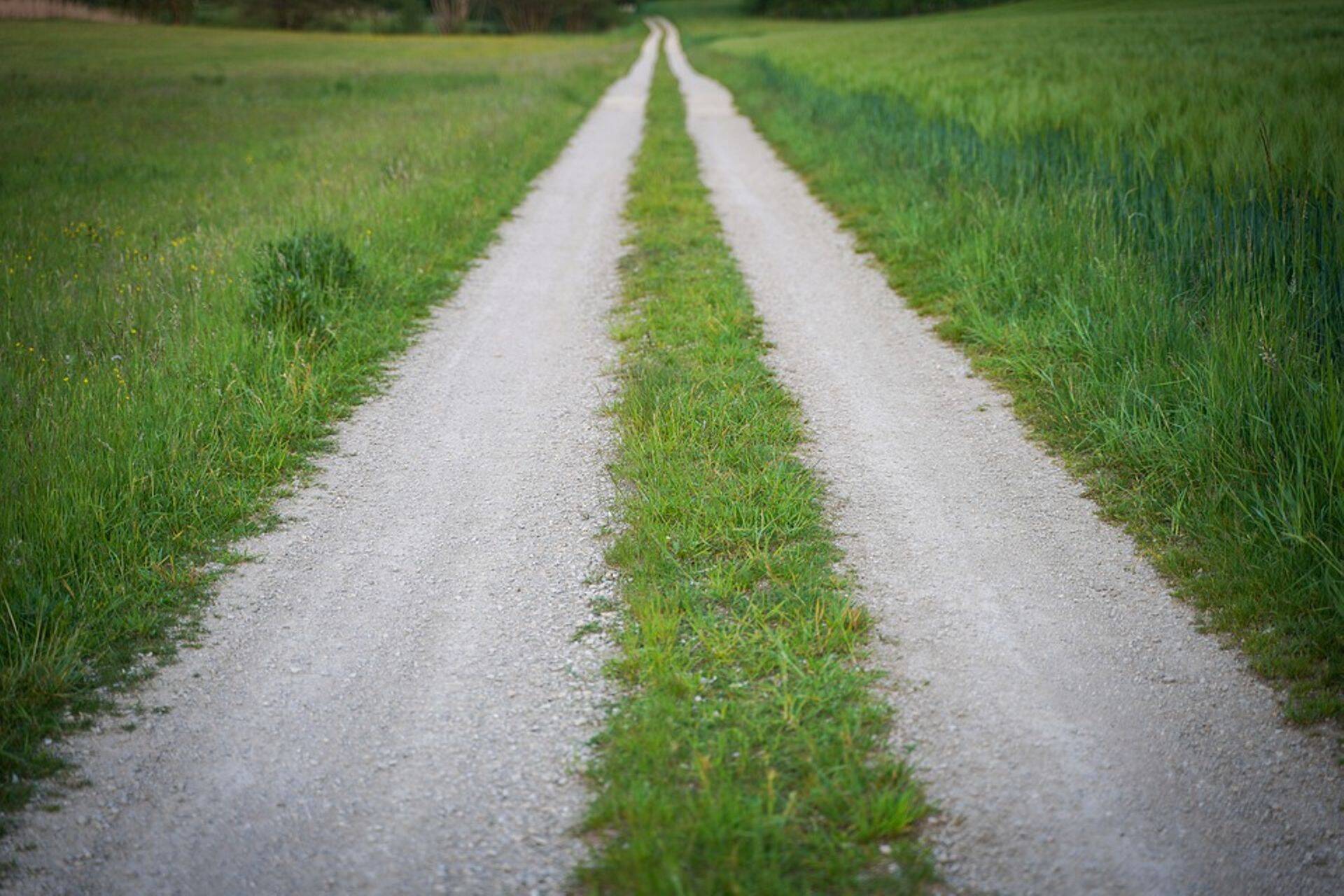 Kõik sihtrühmad pidasid oluliseks investeerimist ka teede rajamisse.
