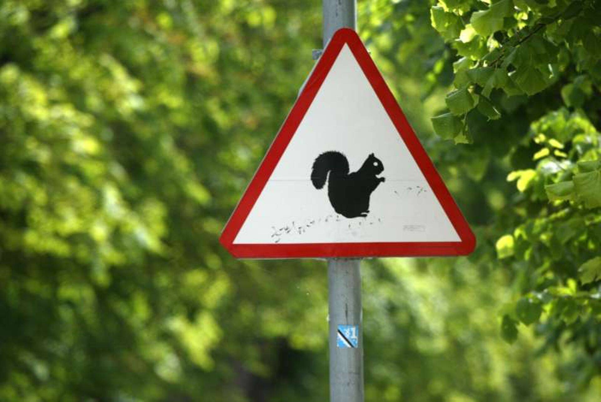 Reformierakonna toetusest on Kaja Kallase esimeheks tõusmise uudsus taandunud