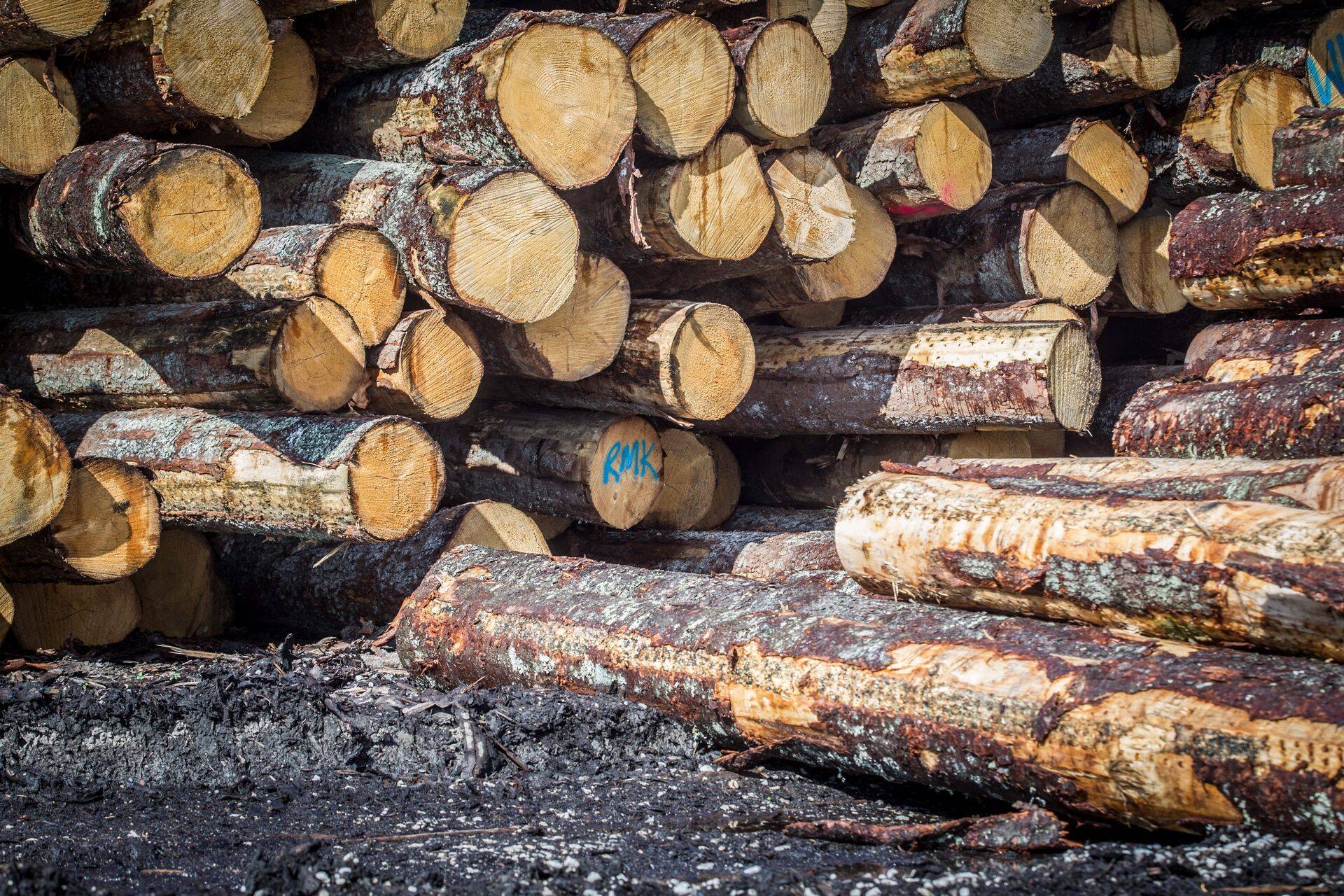 Eesti puidutööstus muretseb kiire palgakasvu pärast.