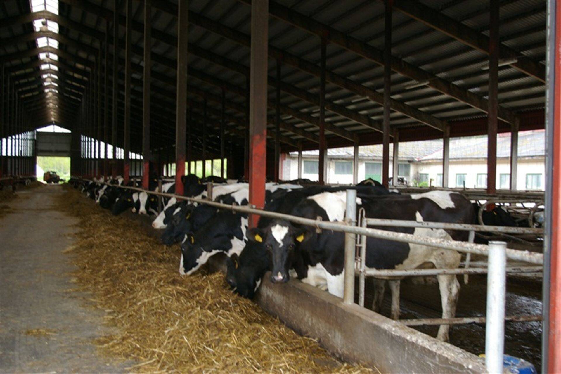 Kohala SF OÜ farm