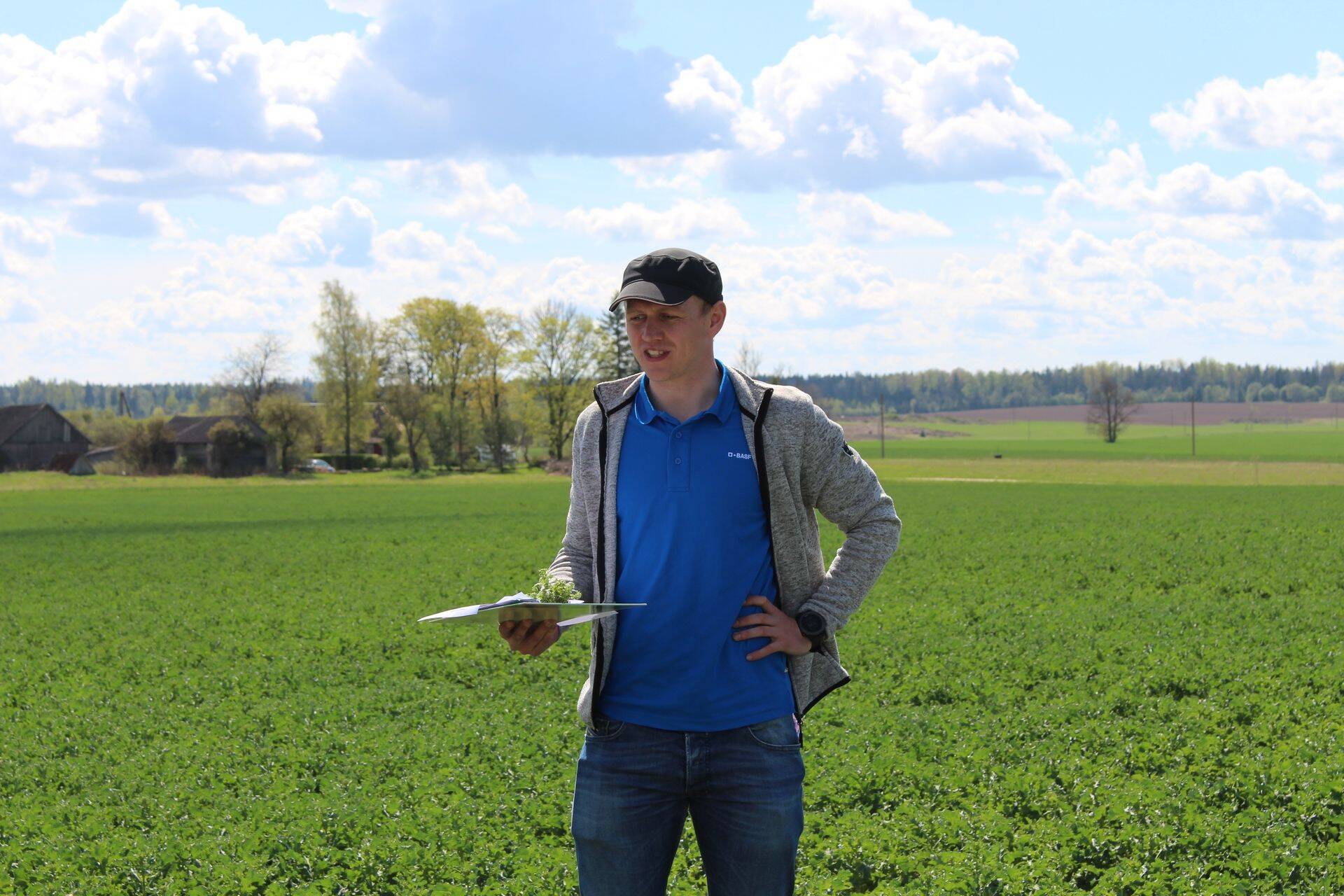 BASF Agro OÜ agronoomi Alo Põldmaa Metstaguse Agro rapsipõllul, kus Clearfield tehnoloogia on kasutusel