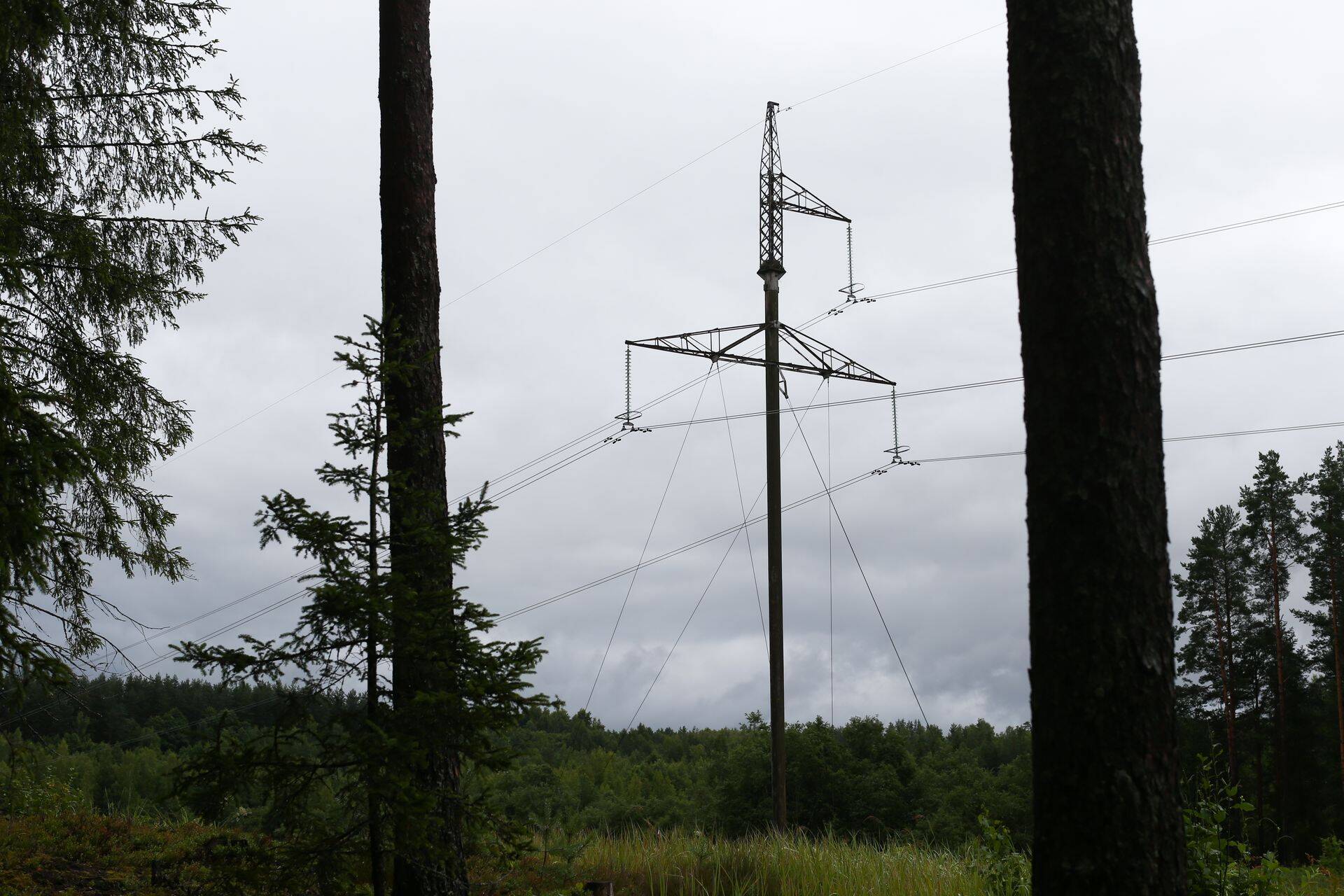 Kõrgepingeliinid.