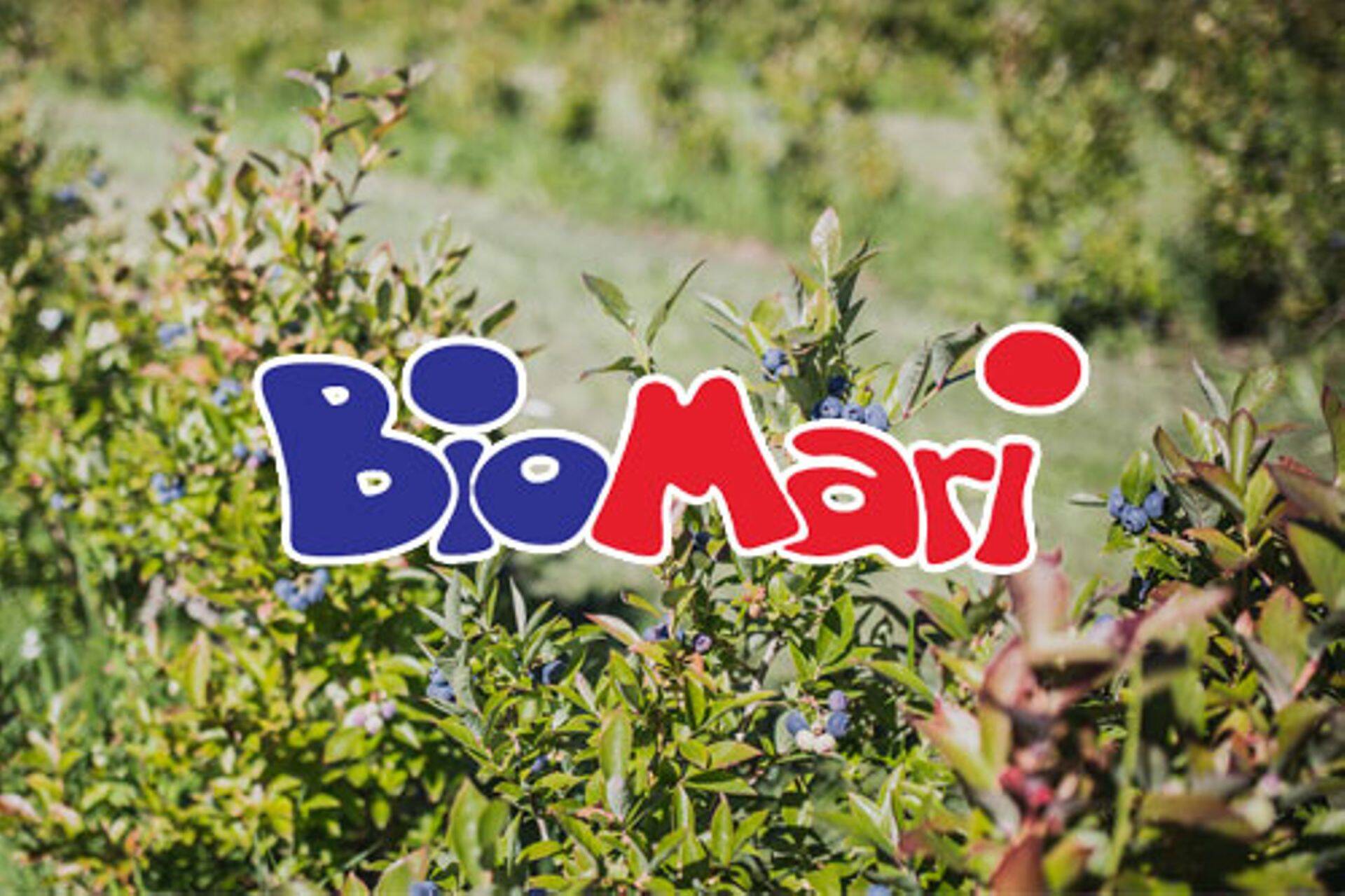 Parim mahetootja 2016 on BioMari OÜ