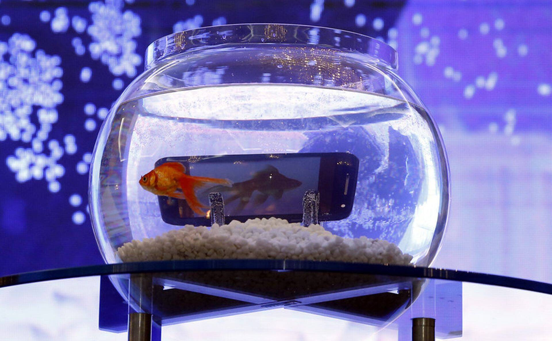 Lenovo nutitelefoni esitlus.