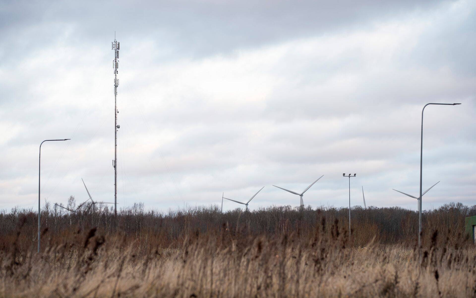 Üheks pealinna lähiümbruse avastamata pärliks peab nii mõnigi kinnisvarategelane näiteks Paldiskit oma mereäärse asukoha ja korraliku rongiühendusega.