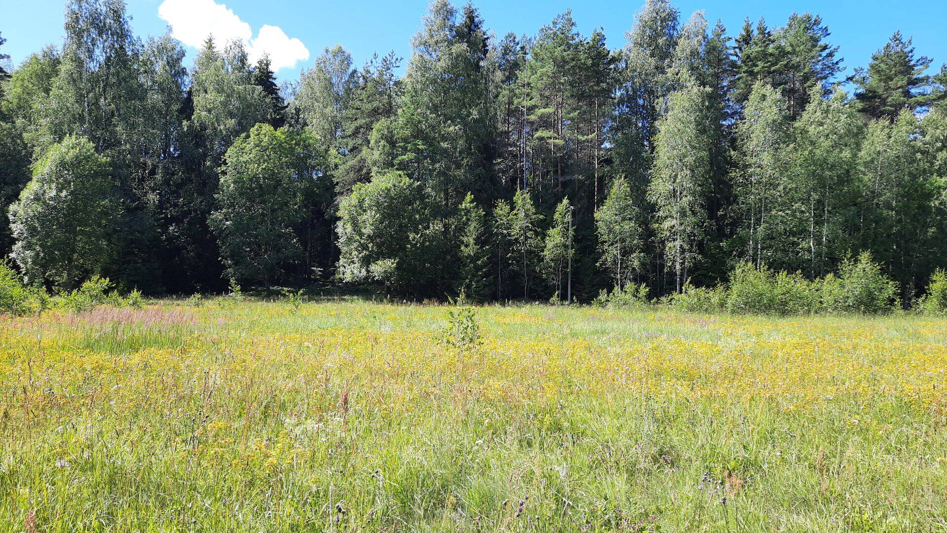 KIK alustab taas poollooduslike alade taastamise ja investeeringutaotluste vastuvõtuga.