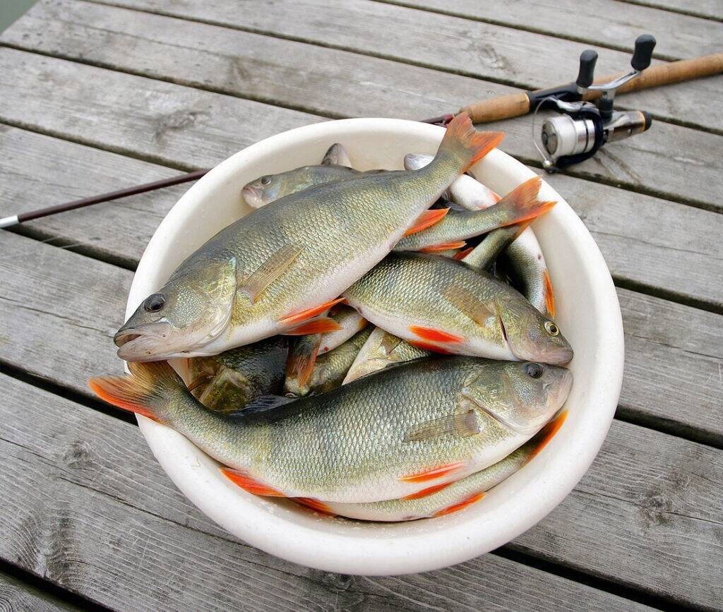 Paar tundi lustimist merel