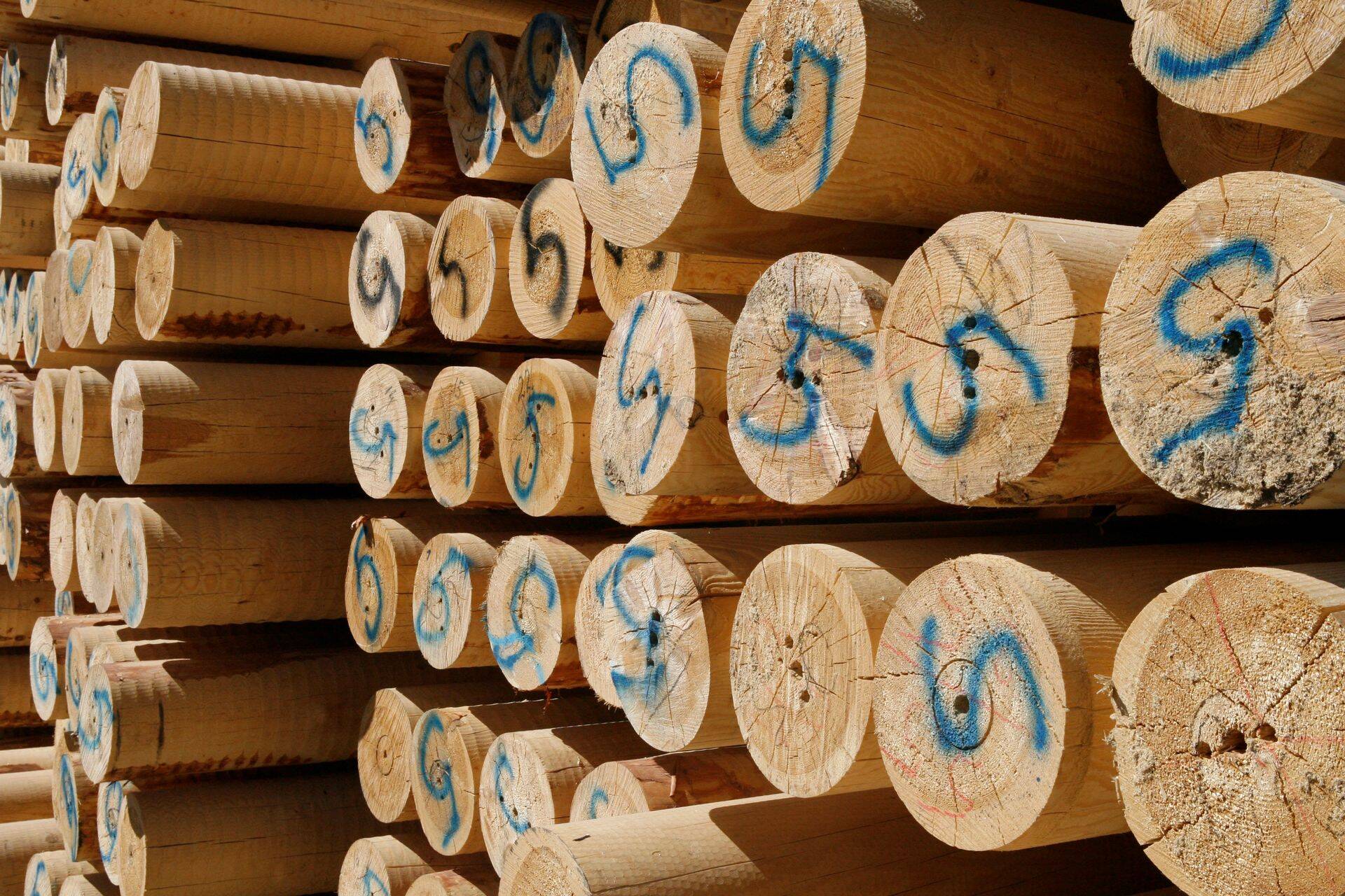 Ritsu Loghomes OÜ omaniku Ralf Daumi sõnul on maksuvõlg mitme halva juhuse kokkusattumine.