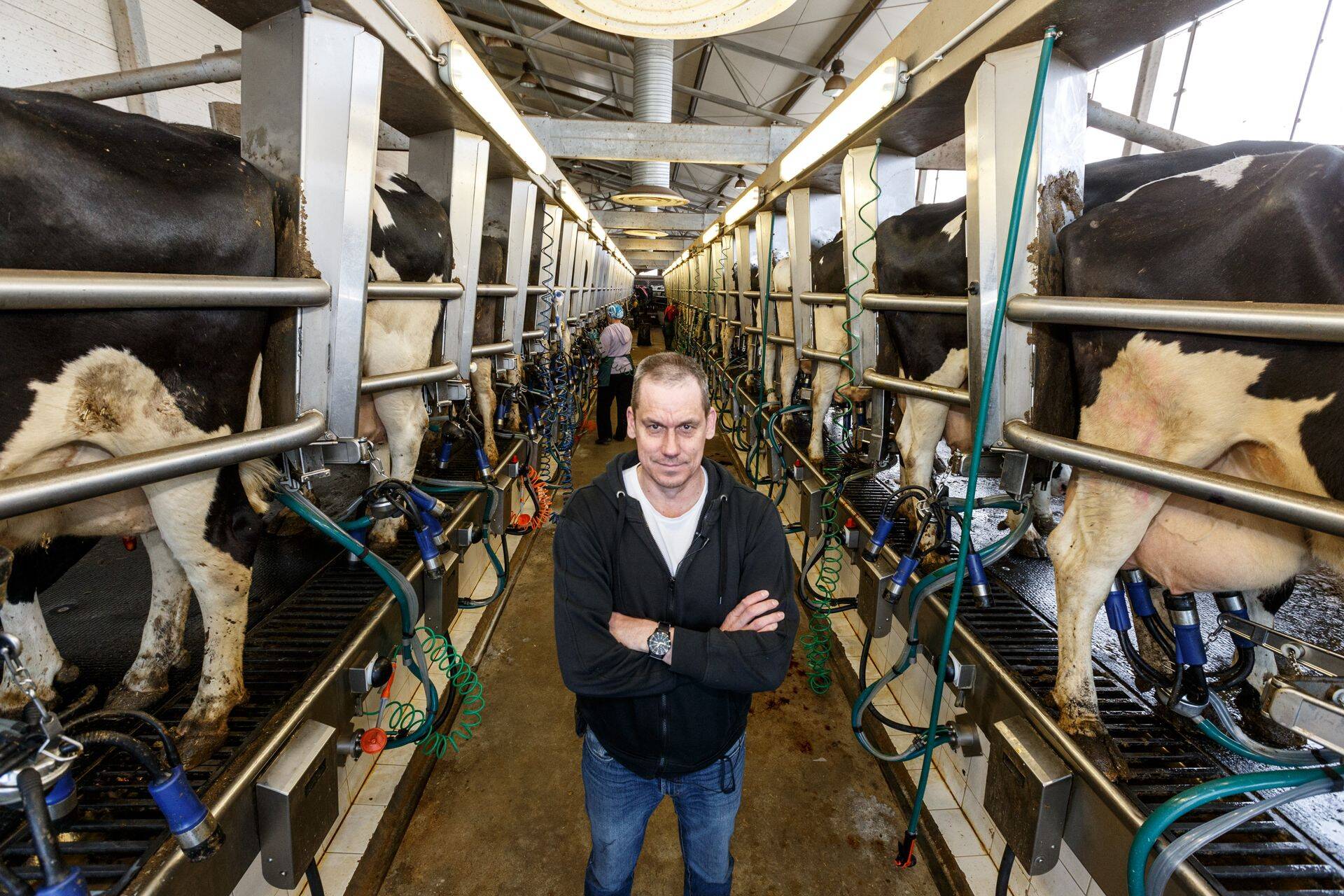 Kestvusnõude rikkumise üle vaidles kohtus ka OÜ Halinga.