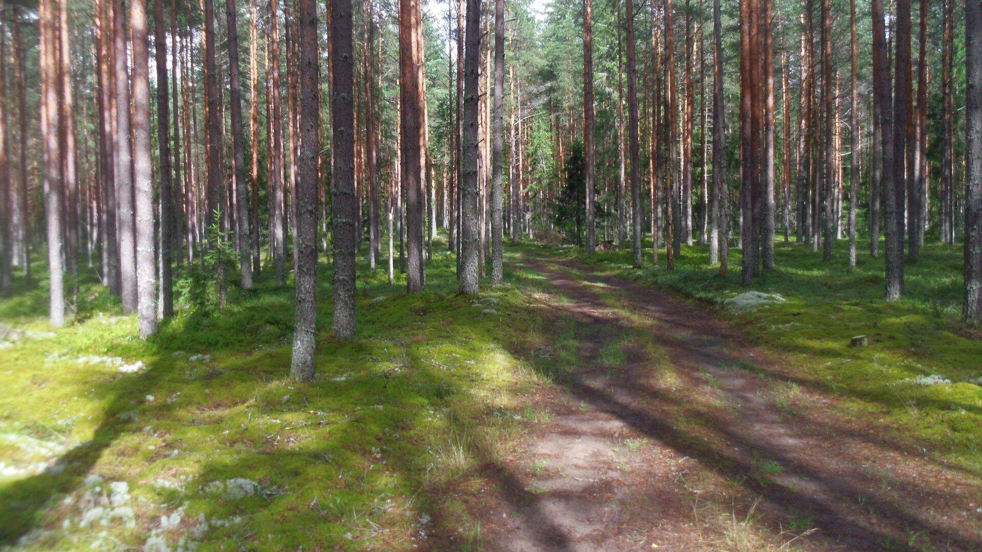 Metsad on tuleohtlikud