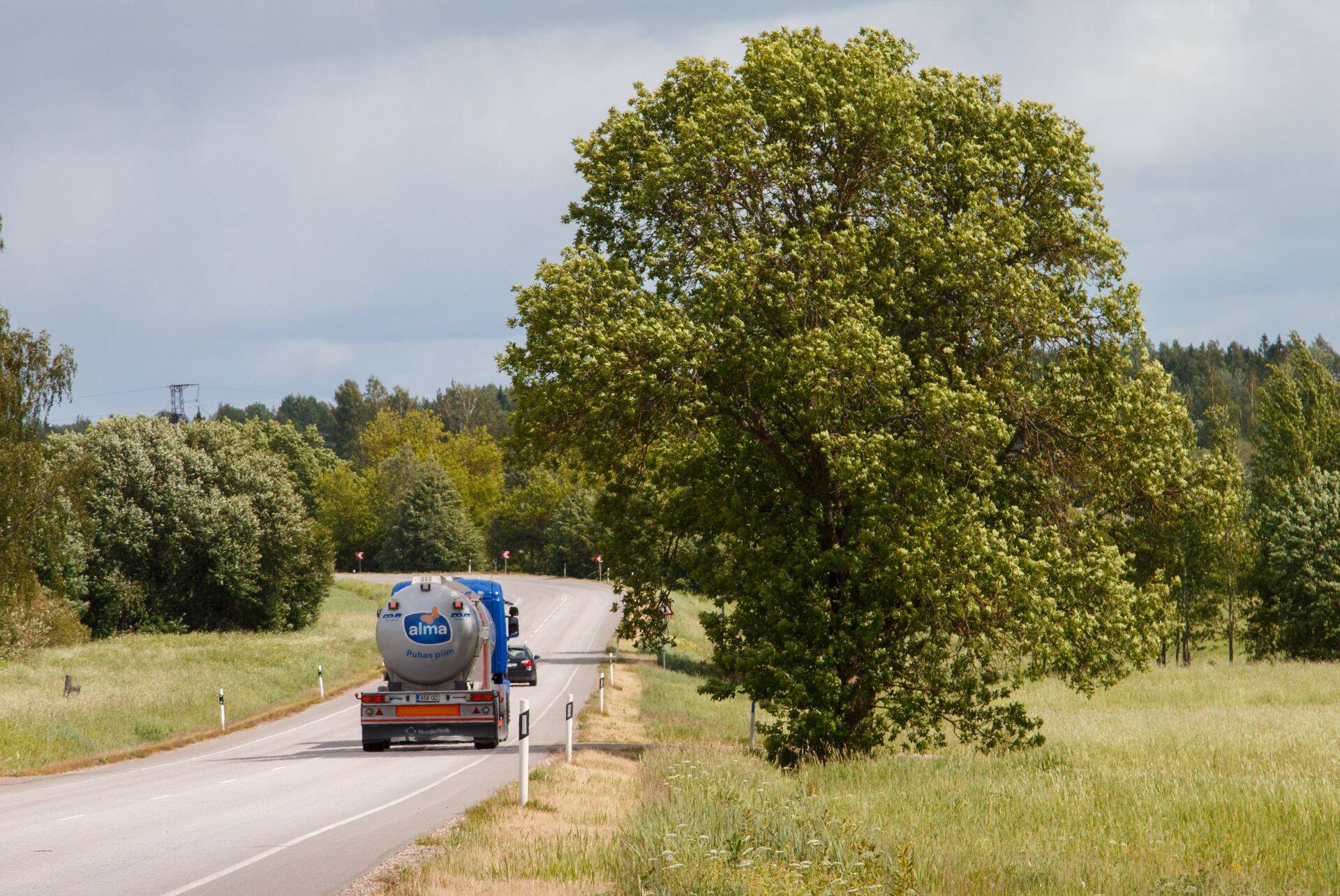 Piimaauto Lõuna-Eestis.