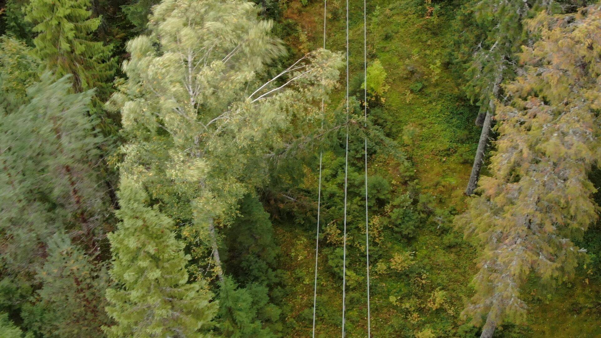 Idufirma Hepta Airborne testib tormijärgset elektriliinide toimivust droonide abil.