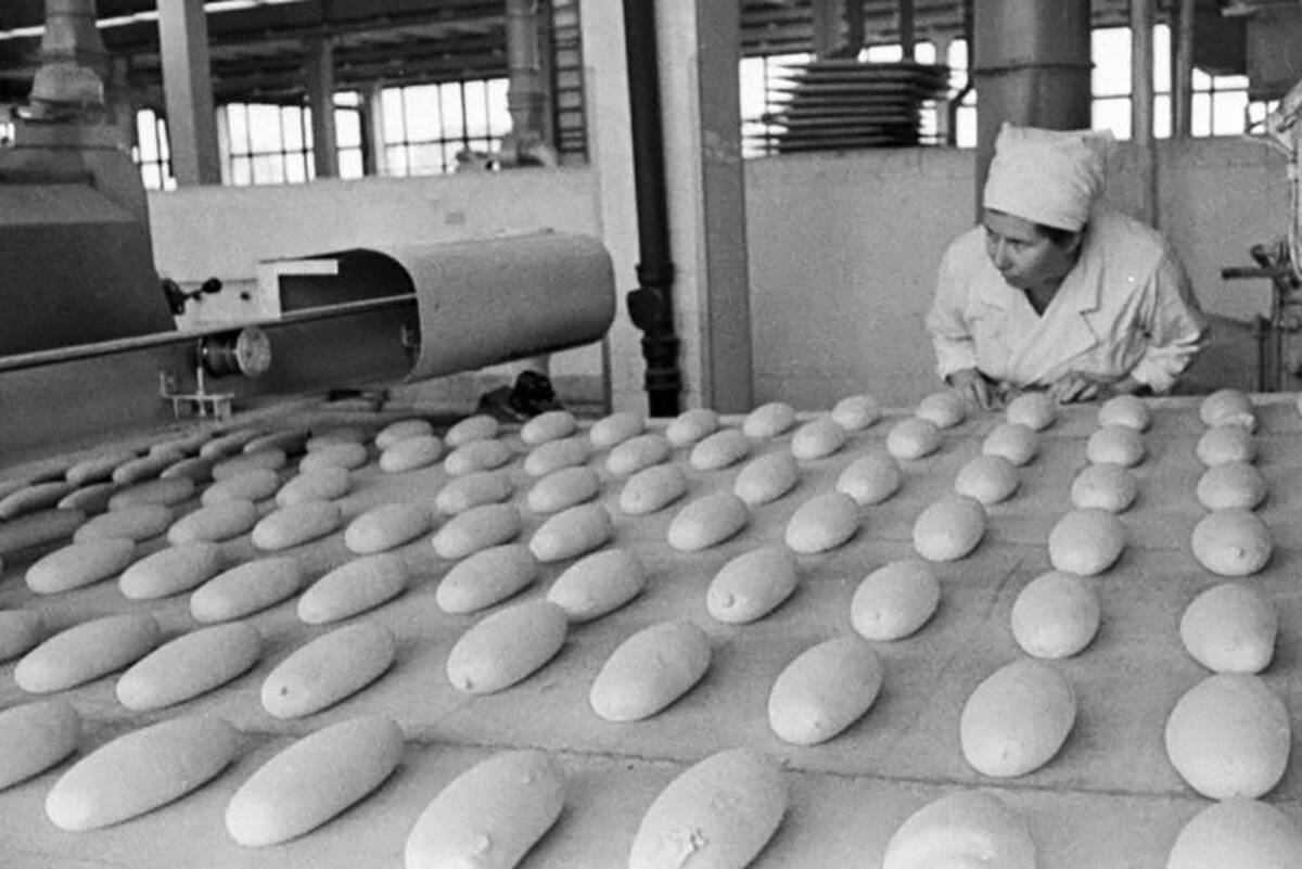 © Erich Norman / rahvusarhiivi filmiarhiiv