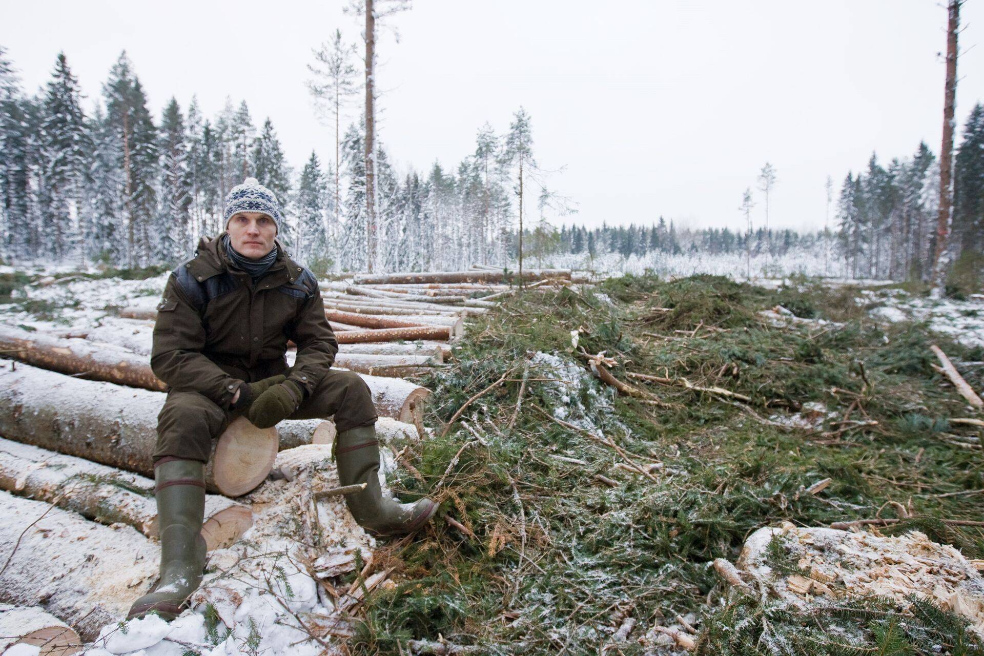 Heiki Hepner prognoosib ümarpuidu hindadele stabiilsust.