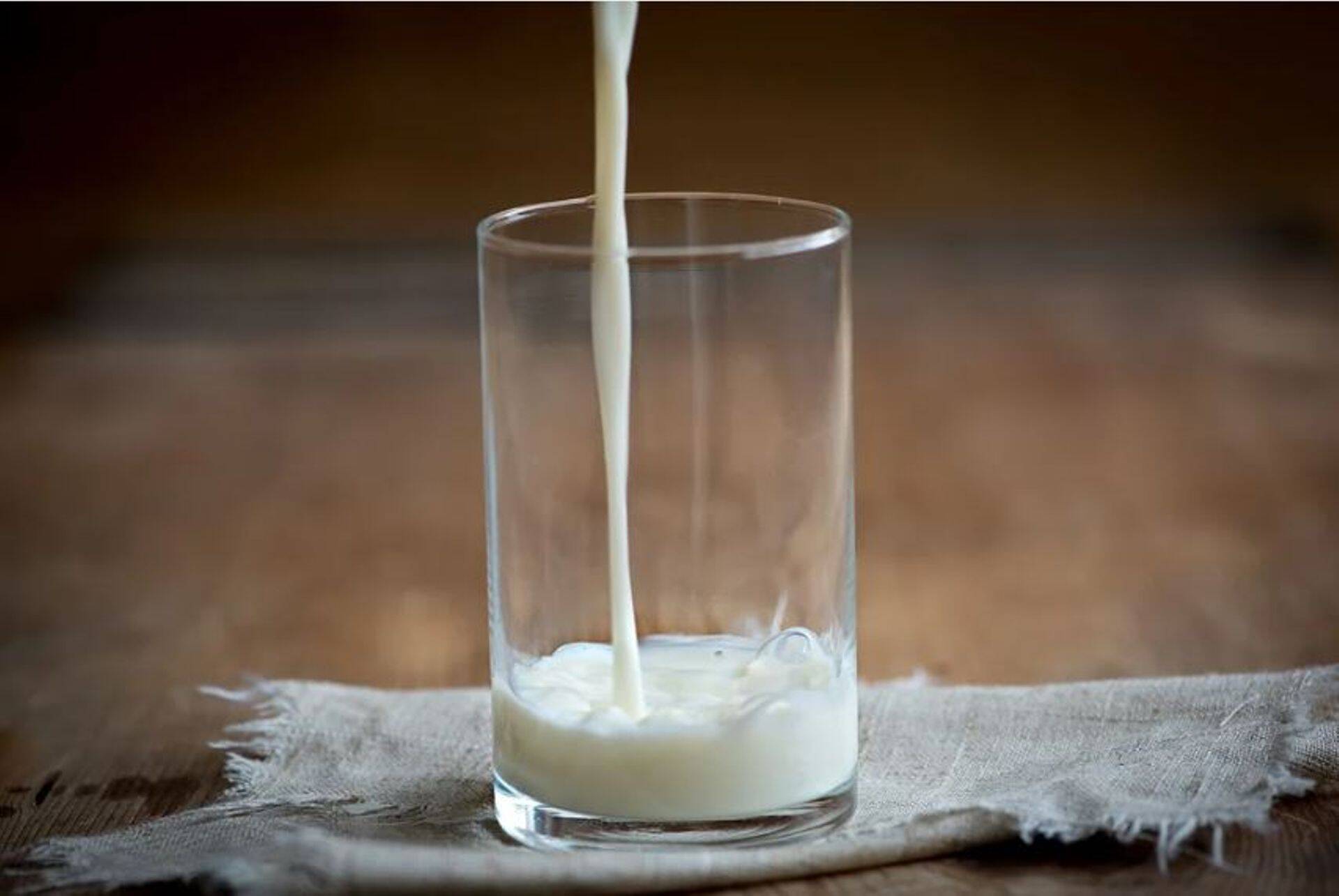 Piim ja piimatooted on suurepärased valkude allikad ning sisaldavad B2-vitamiini, A-vitamiini, kaltsiumi ja muid inimkeha jaoks olulisi toitaineid.