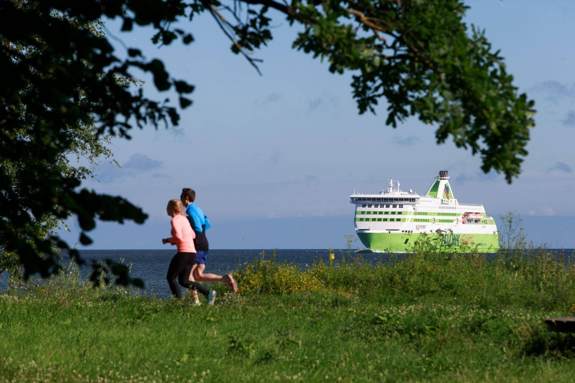 Tallinki tulemused pakkusid Swedbanki analüütikutele meeldiva üllatuse