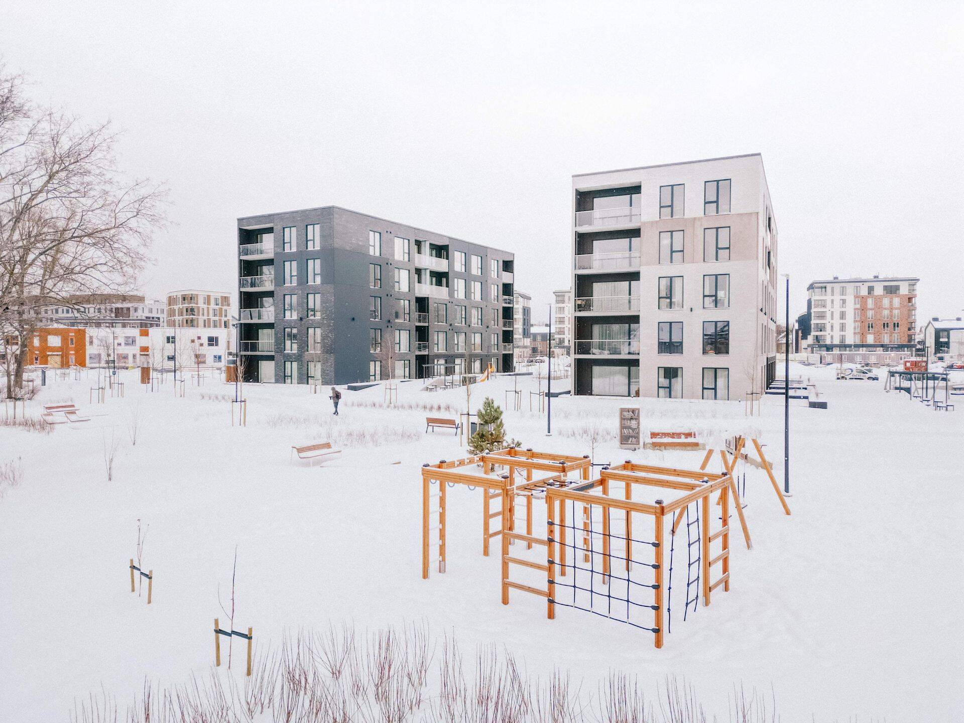 Высаженные в парке кусты и деревья подходят для городской среды