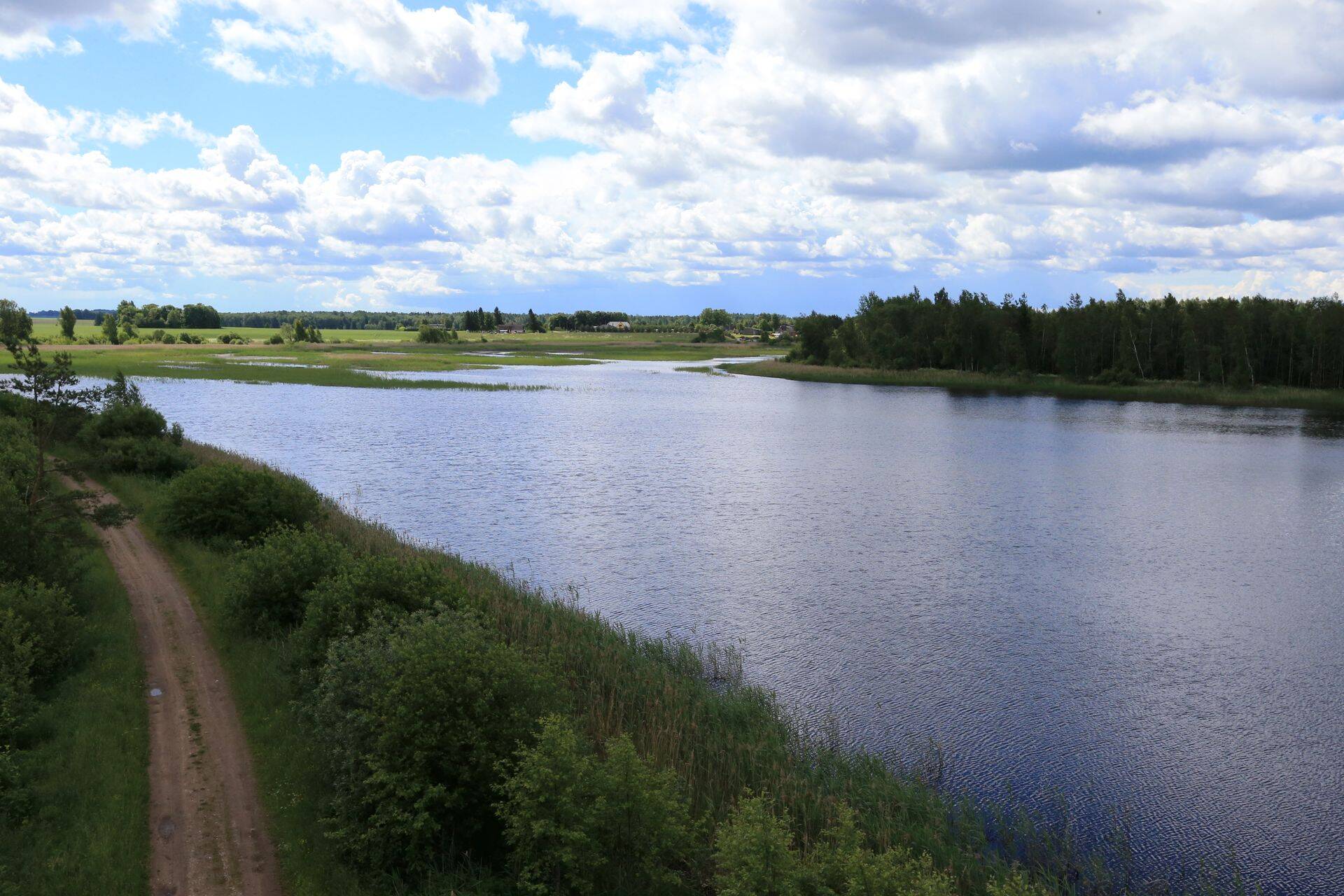 Ilmatsalu Kala OÜ on soovinud kalatiikide asemele rajada ka elurajooni, sadama ja golfiväljaku. Pildil golfiväljaku asukoht. Praegu on aga jutt päikeseelektrijaamast ja kalakasvandusest.