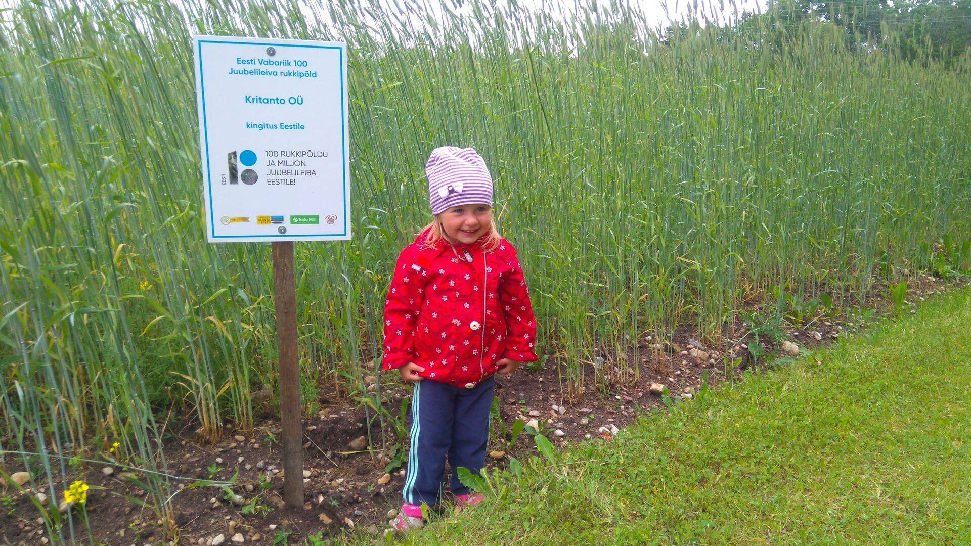 Kritanto OÜ rukkipõld