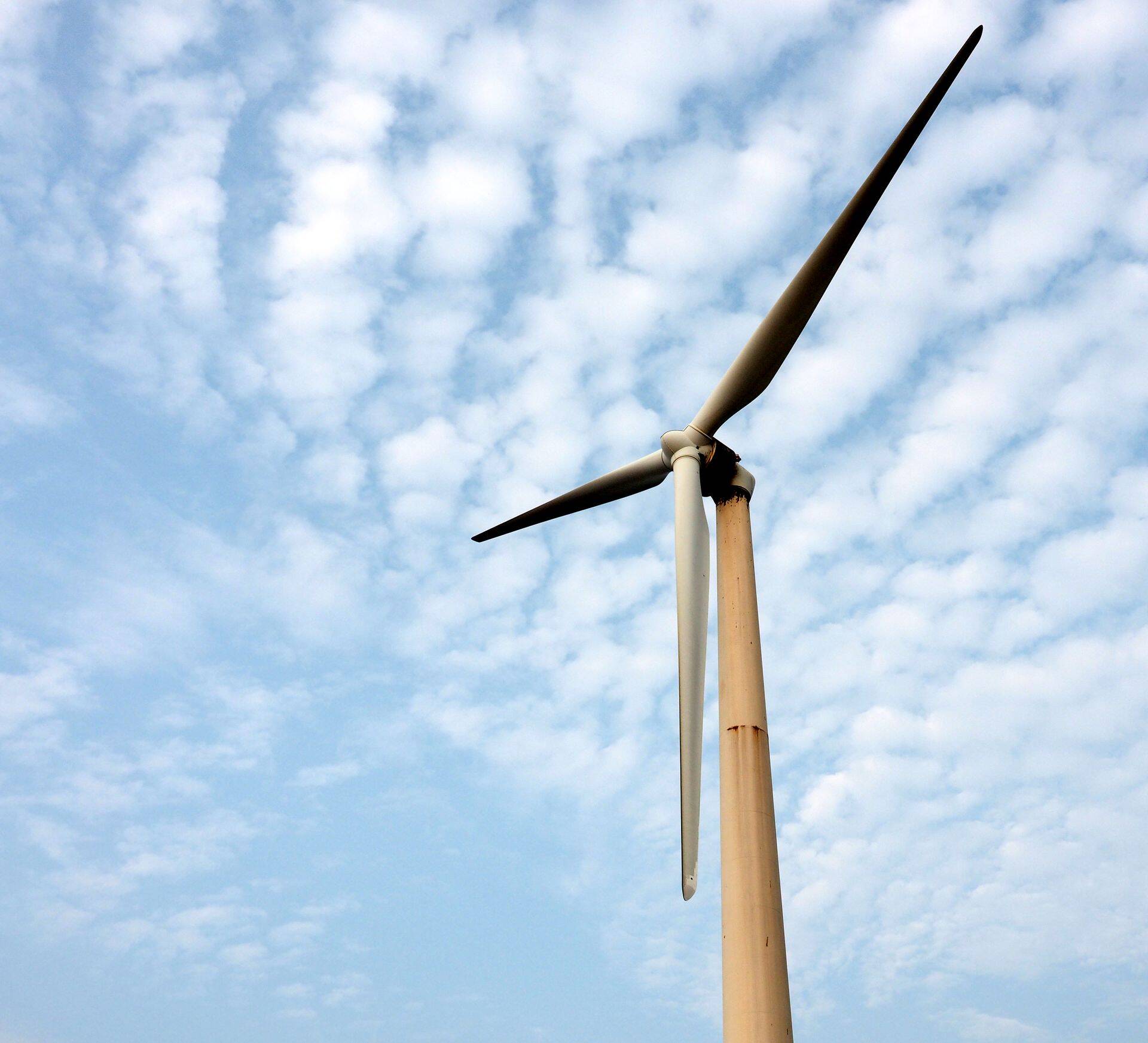 Naftakaevandaja Total soovib siseneda tuuleenergia tootmise ärisse.