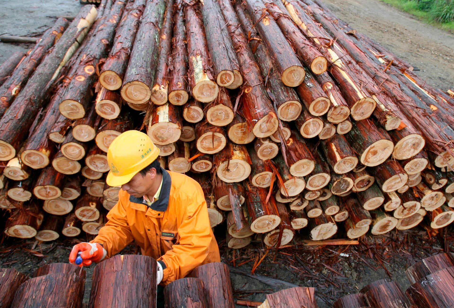 Veebruaris eksporditi Eestist palju puitu ja puittooteid.