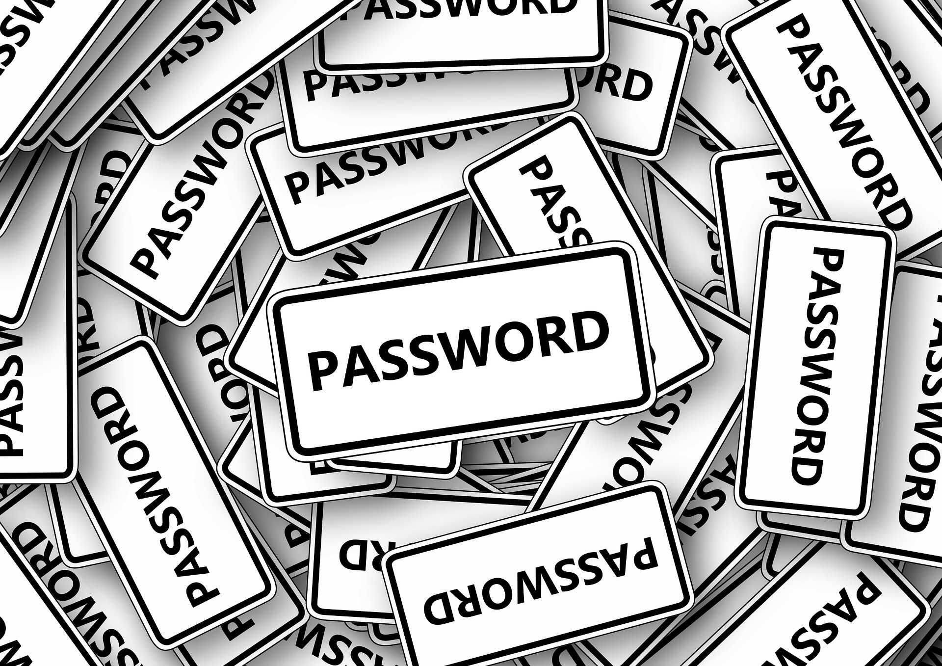Parooli inglisekeelne vaste Password on üks enamlevinud salasõnasid.