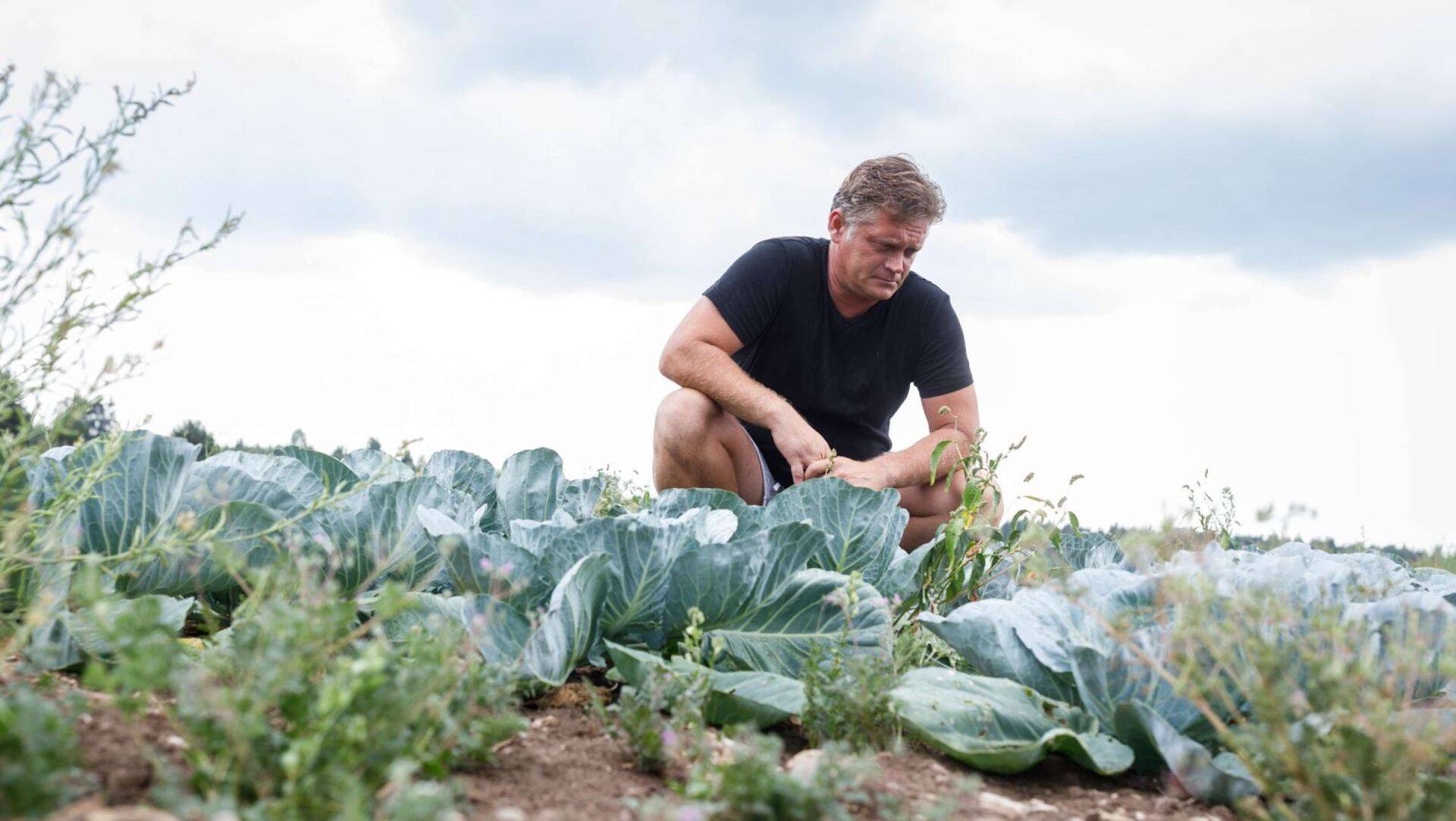 Руководитель Kadarbiku Köögivili OÜ Вилле Пак