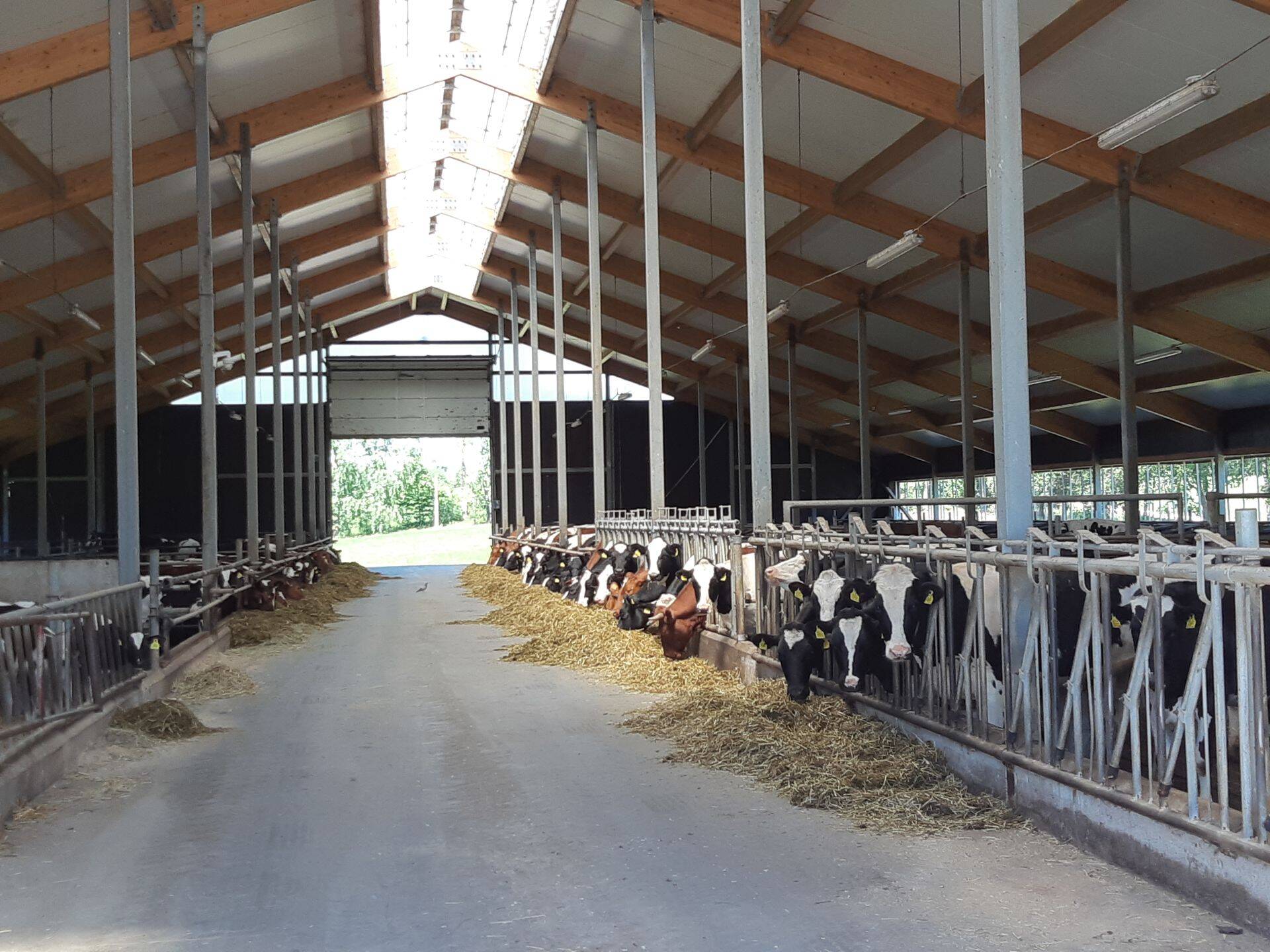 Nopri farm.