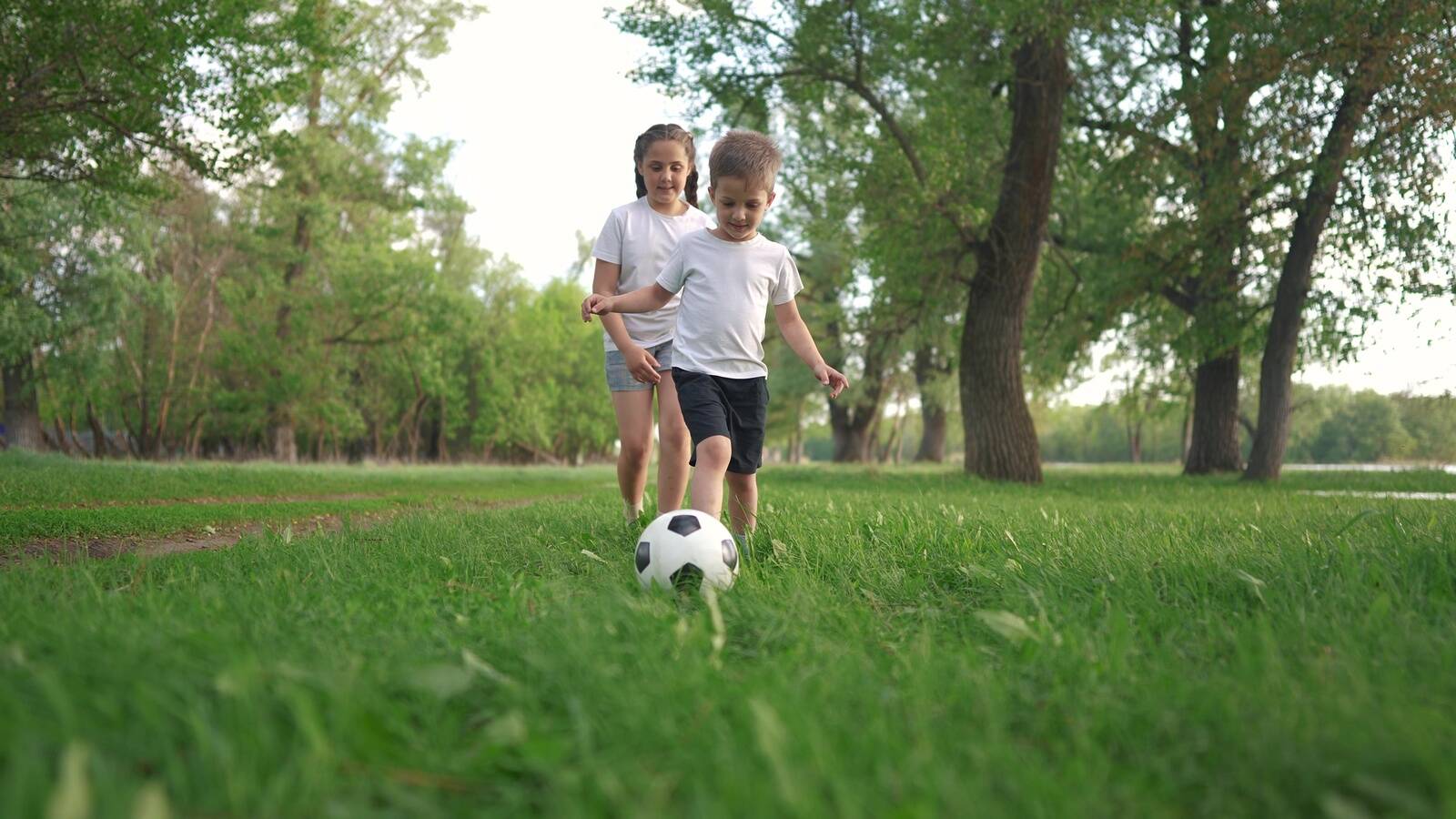 Seikluste Laegas keskendub neljale põhiteemale: tervislikule söömisele, istumisaja vähendamisele, janu korral vee joomisele ning piisavale liikumisele.