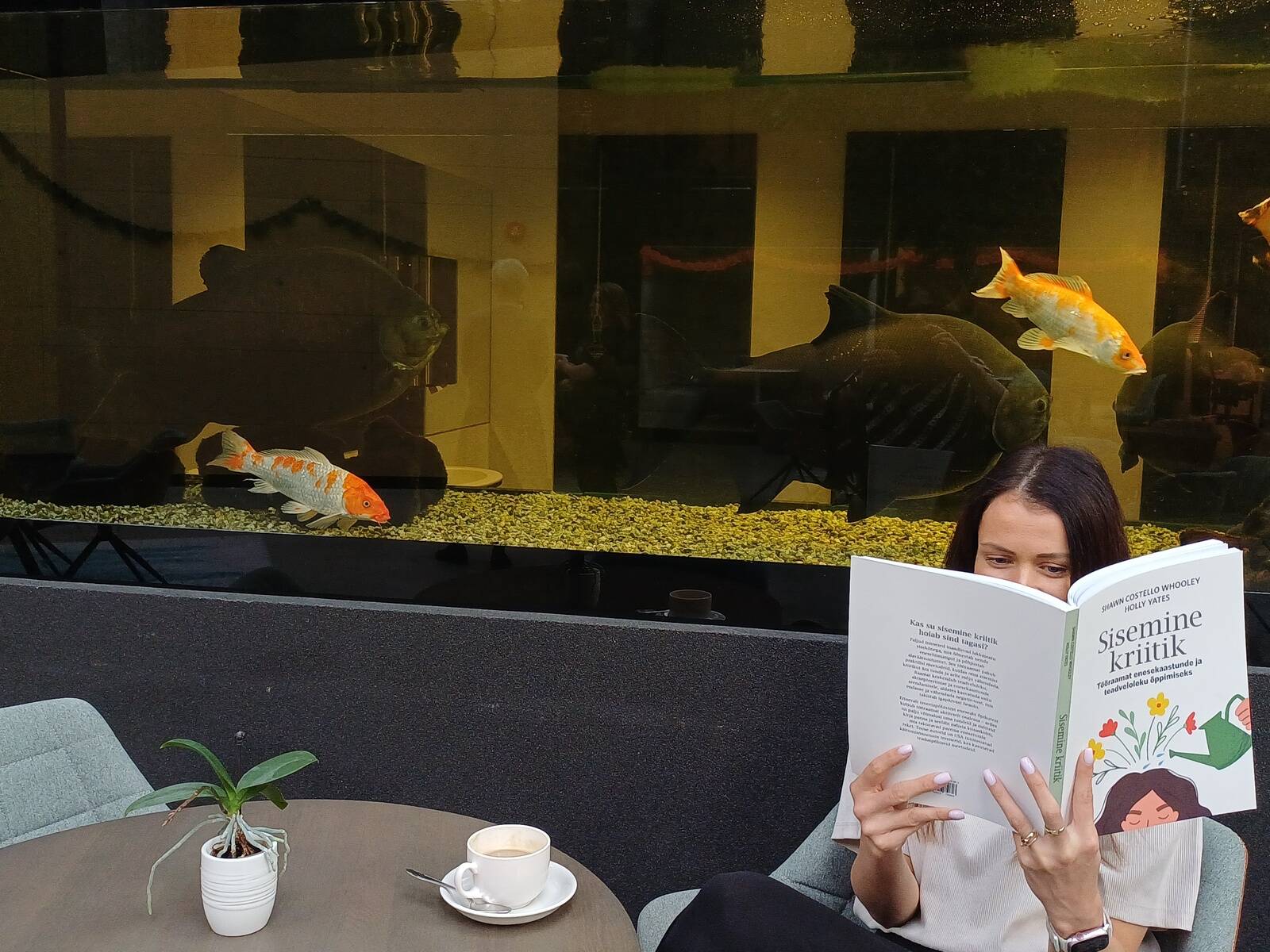 Raamat “Sisemine kriitik”