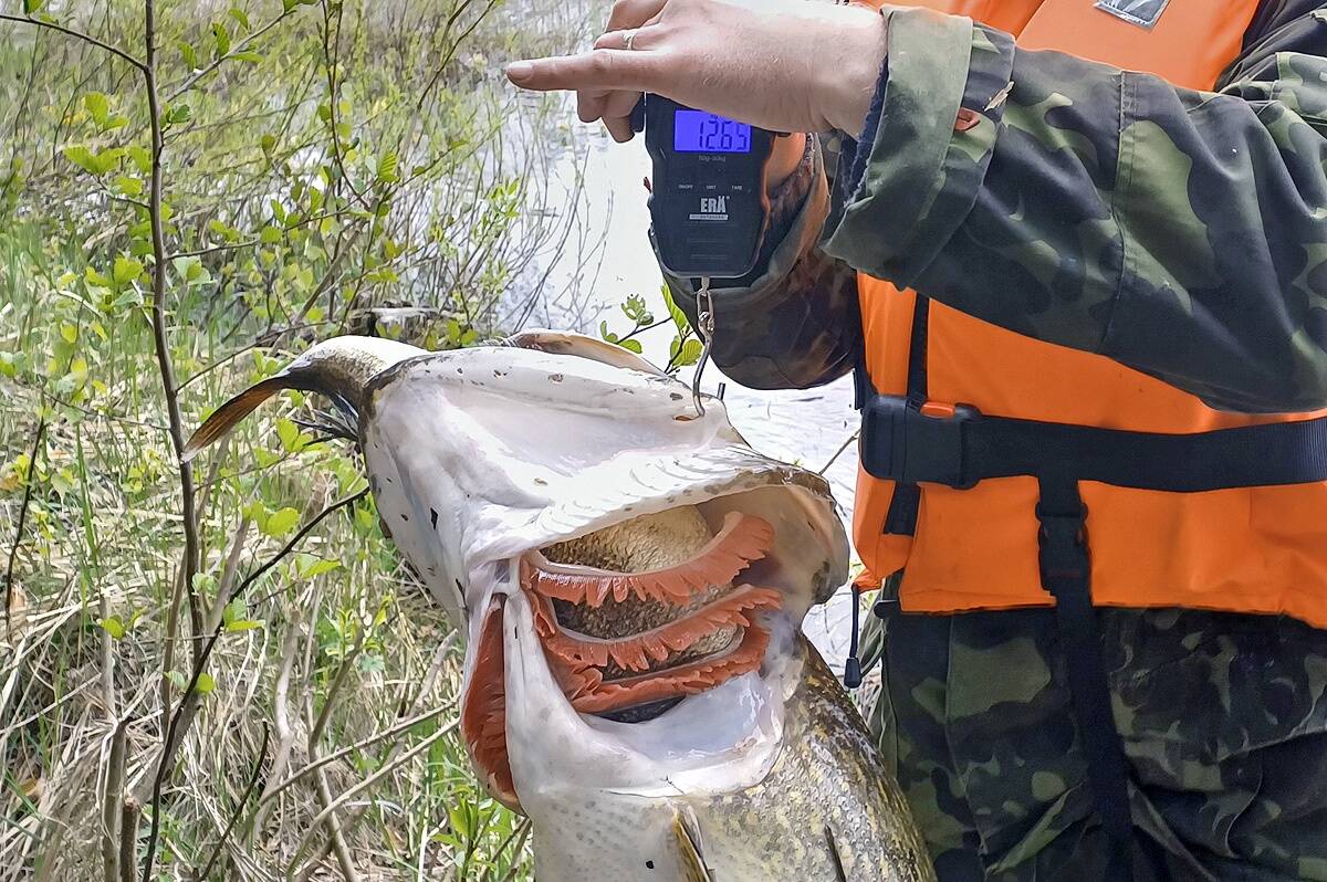 Lugeja kirjutab: liiga suur tükk võtab hinge kinni