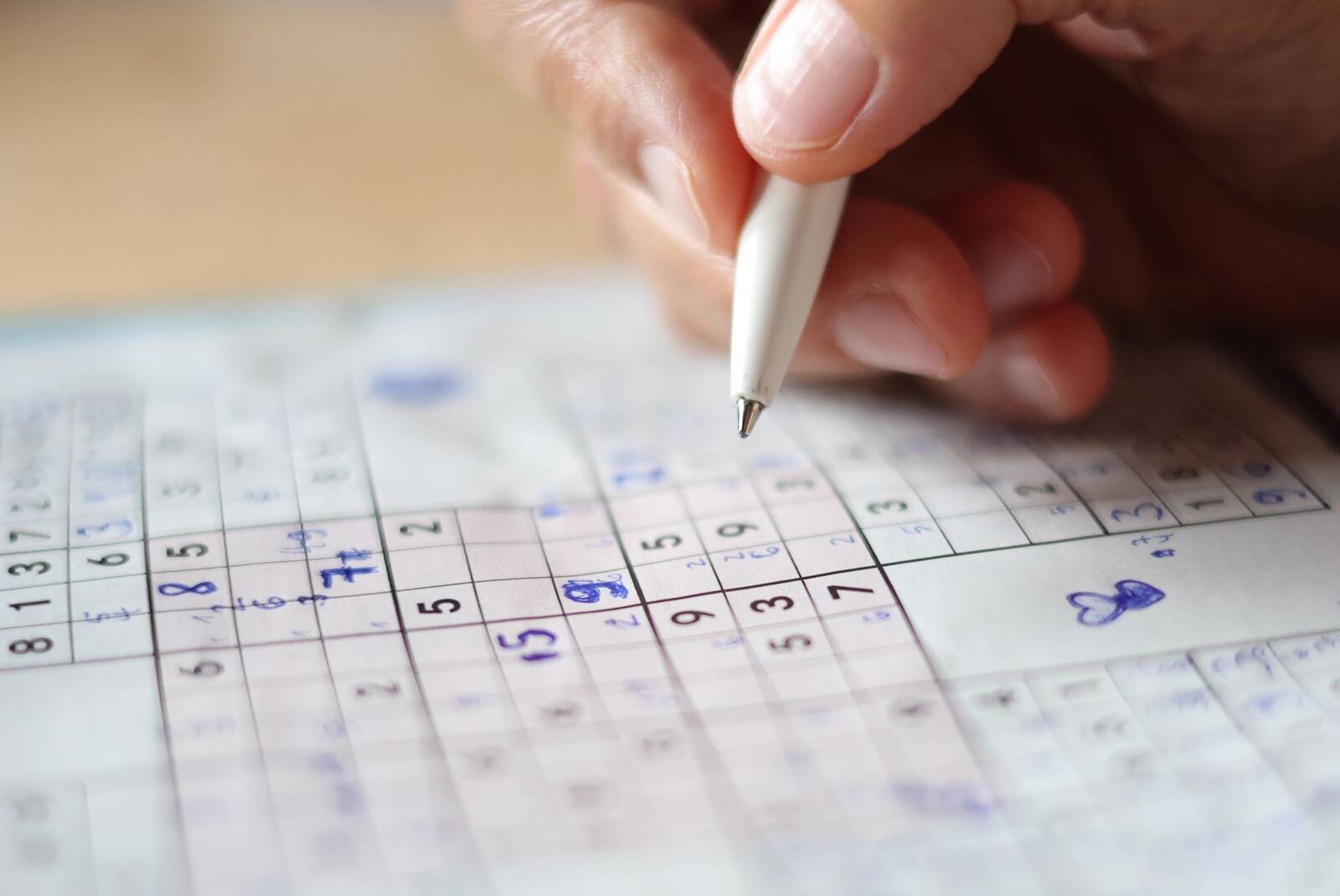 Meediamajade TOPi tänavune võitja koostab muu hulgas sudokusid ehk Jaapani päritolu numbrimänge.