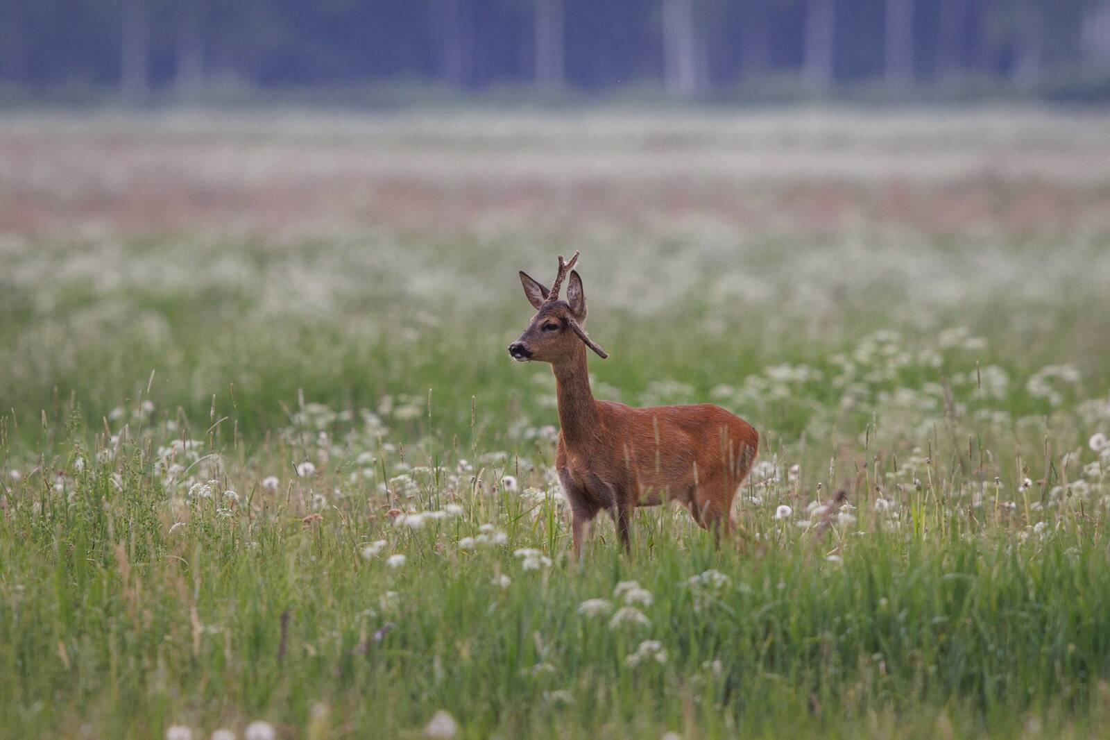 Иллюстративное фото.