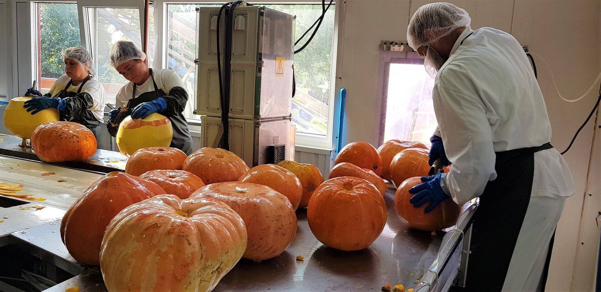 Orkla Eesti Põltsamaa tehas on kõige laiema toiduainete valikuga toiduainetootja Eestis, tootes ja turustades ligi 350 toodet neljateistkümne erineva kaubamärgi all.