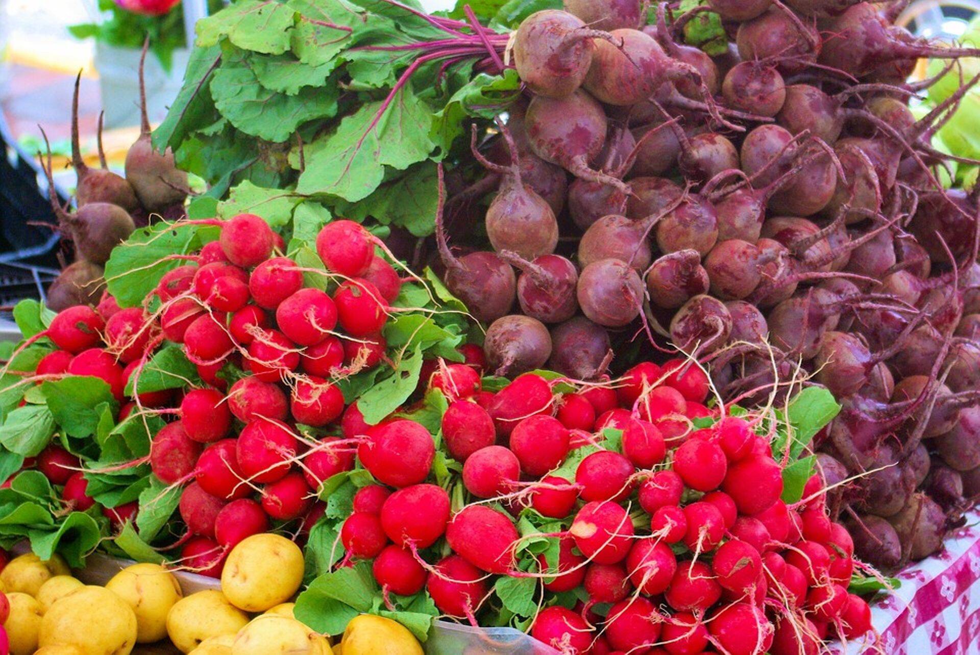 Oluline on pesta nii puu- kui juurvilju, eriti kui süüa neid toorelt.