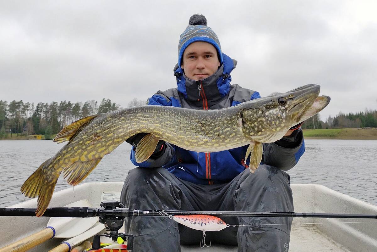 Laur Tammeorg Lucky Johni Arrow Jerkiga püütud haugiga.