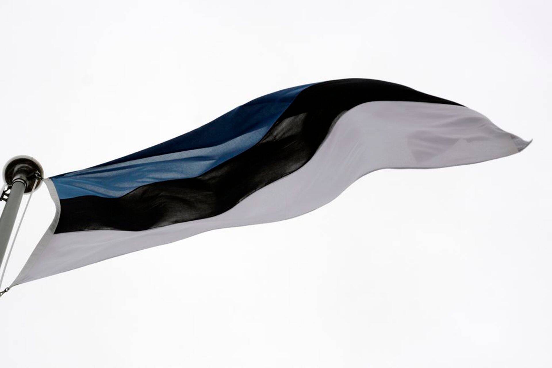 Eesti lipp