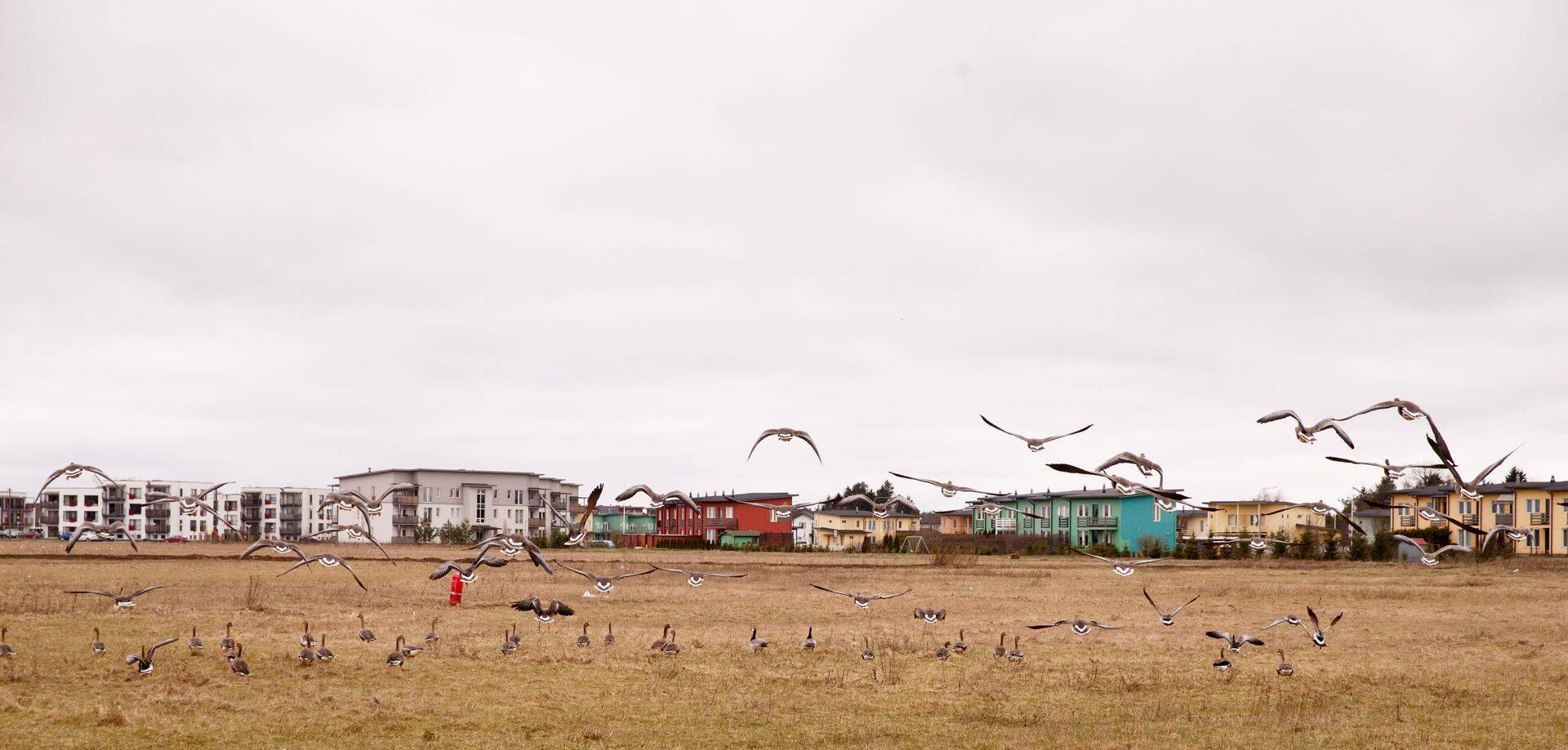Eestis on kinnisvaratehingu vormistamine küll üks Euroopa Liidu soodsamaid, kuid tasud täidavad eelkõige notarite taskuid.