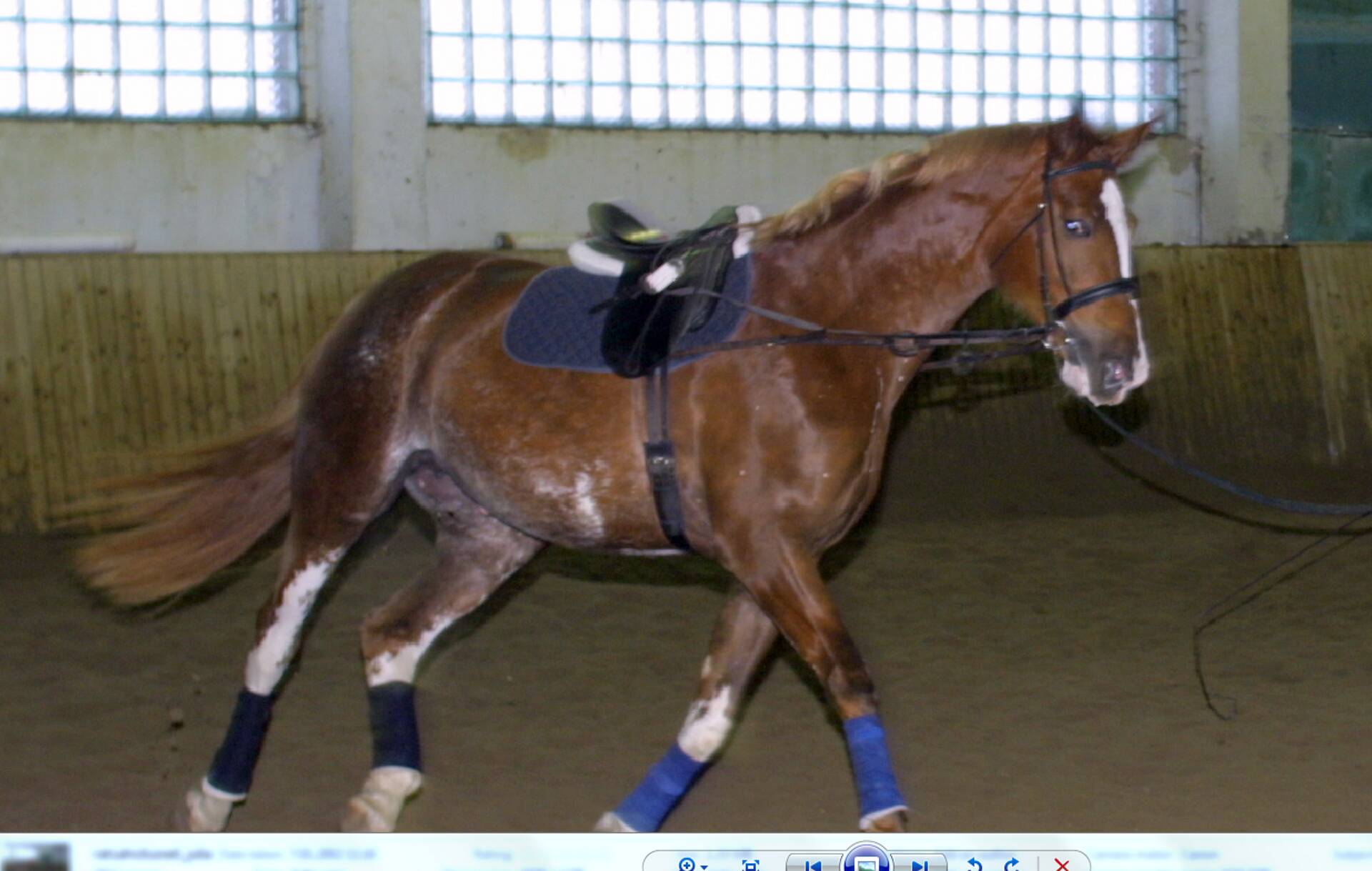 Kahes tallis liikvel ohtlik viirushaigus