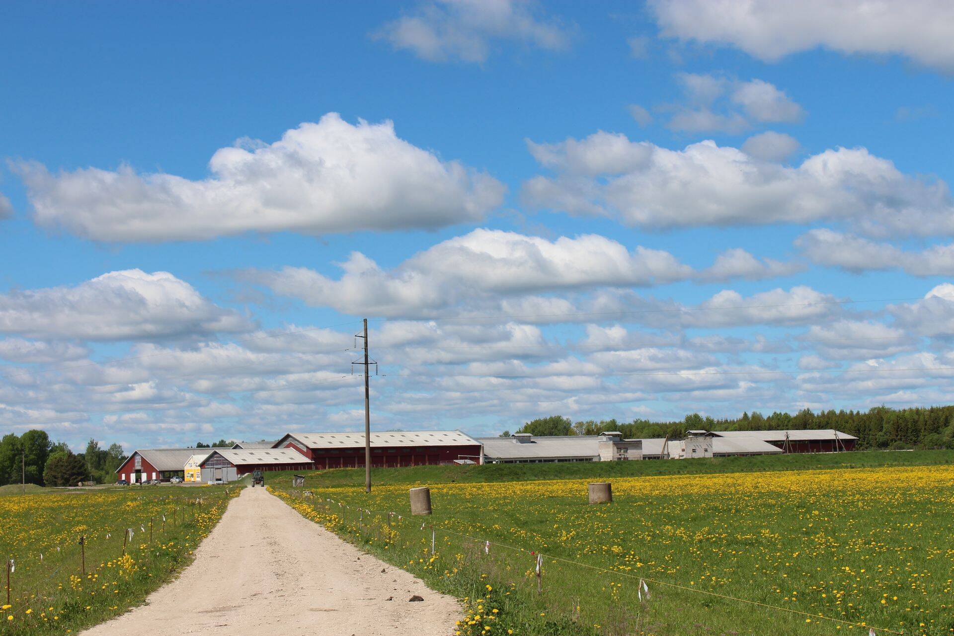 Põllumehed selgitasid maaeluministrile toetuste vähenemise mõjusid Eesti piimatootmisele