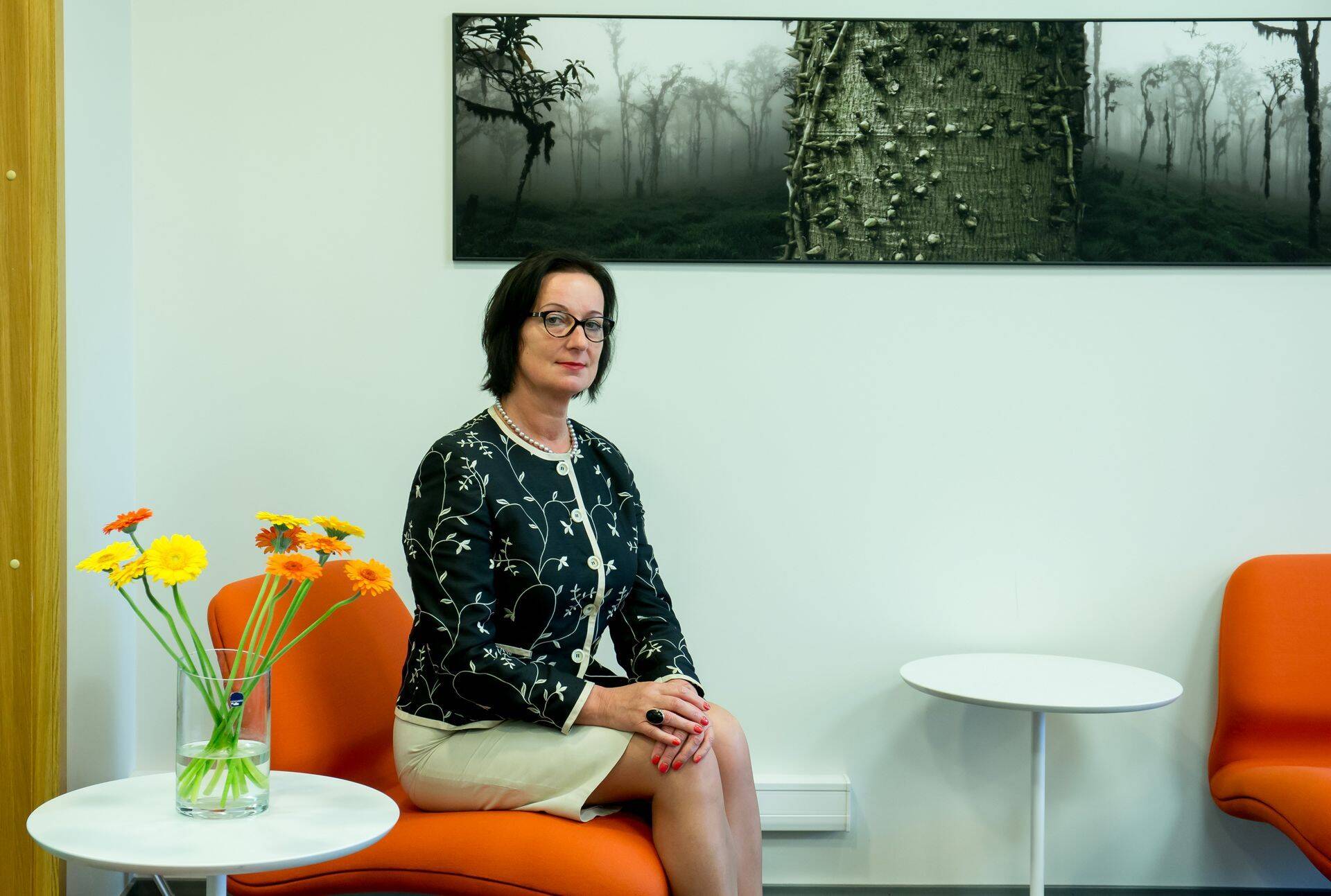 Vandeadvokaat Maria Mägi-Rohtmetsa sõnul on Rumeeniasse investeerinud firma võlakirjaemissiooniga seoses investoreid aastaid eksitatud ja esitatud valeandmeid.