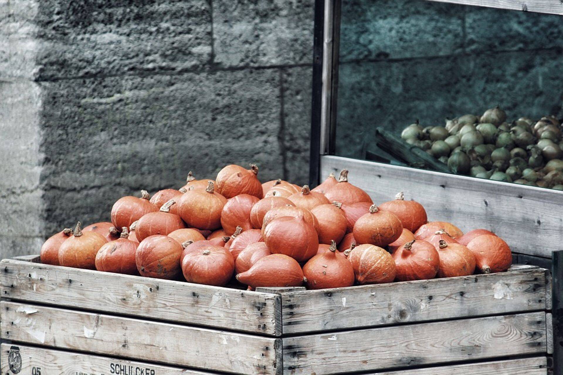 Põllumajandusamet kontrollib senisest suuremas mahus puidust pakkematerjali.