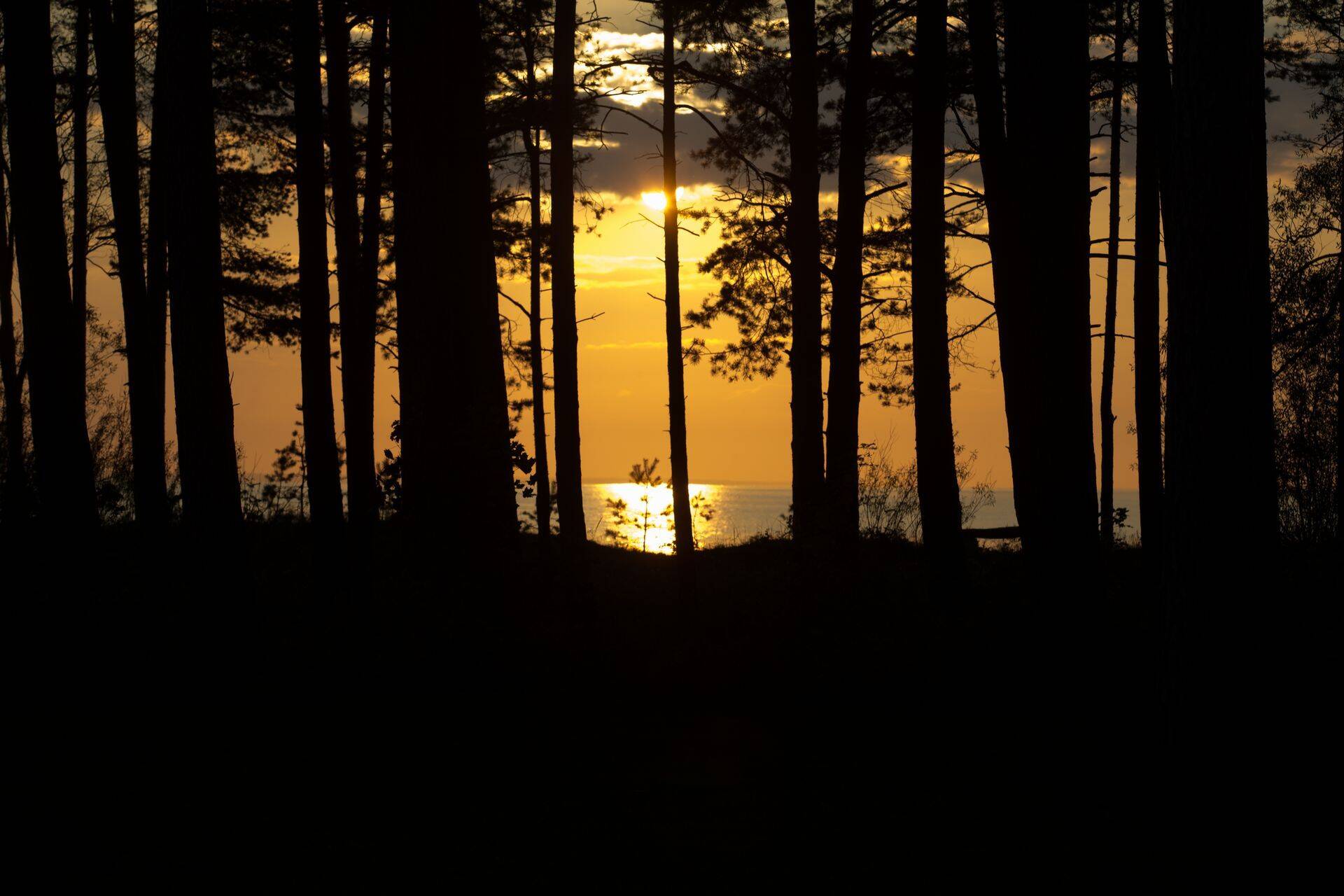 Нарва-Йыэсуу