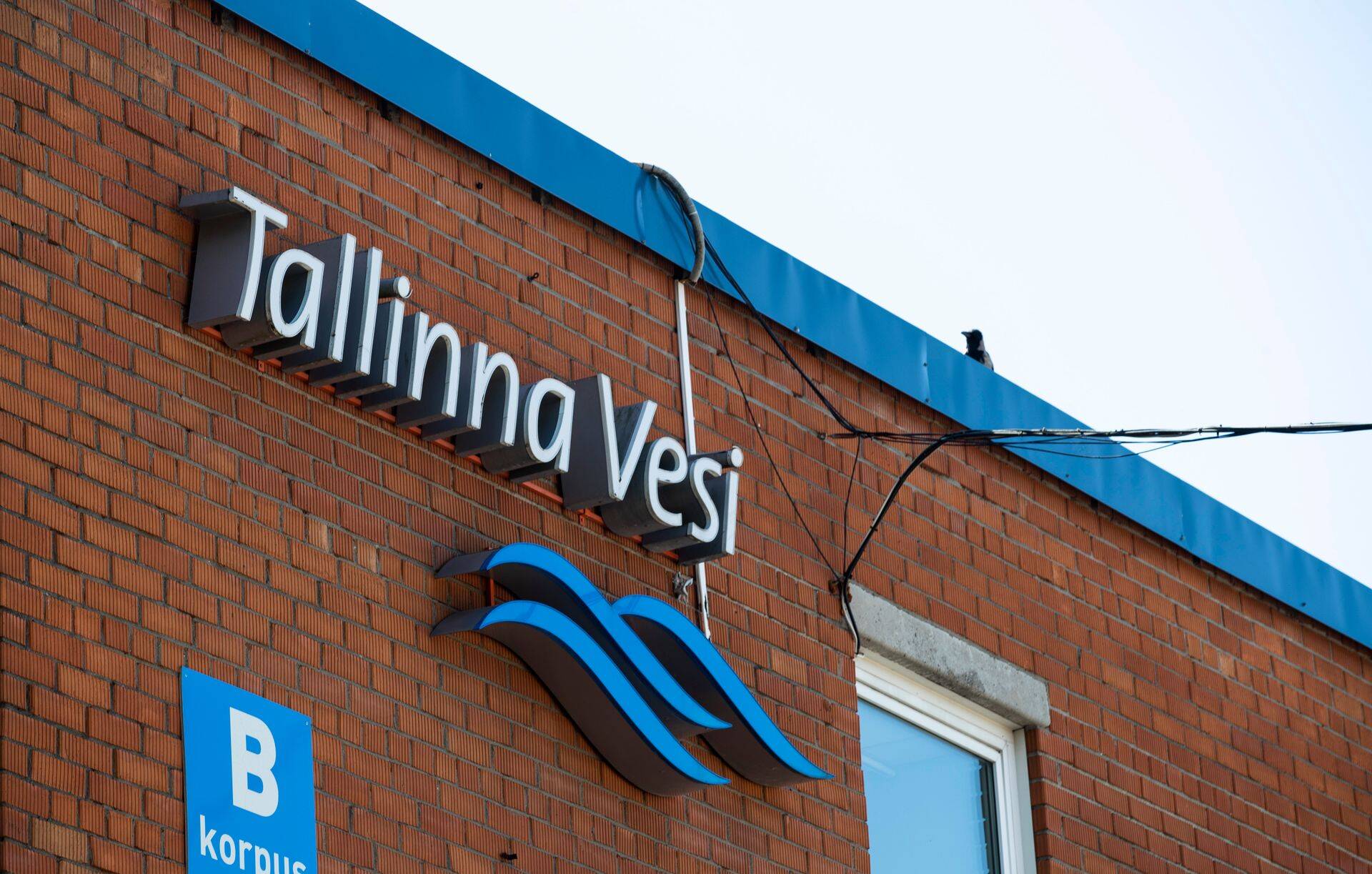 Pandeemiapiirangute leevenemine ja äride avanemine mõjus Tallinna Vee tulemustele hästi.