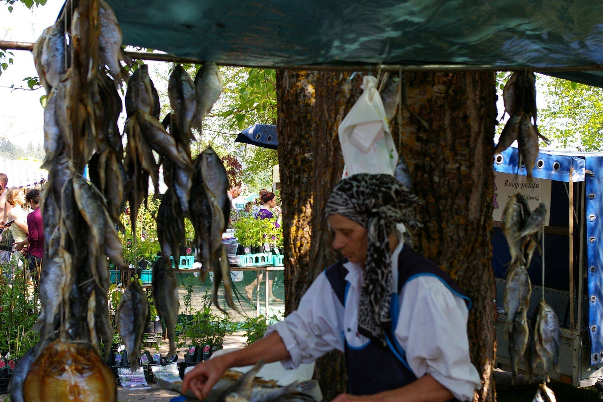 Tänavu tõstetakse püünele Peipsi maitsed